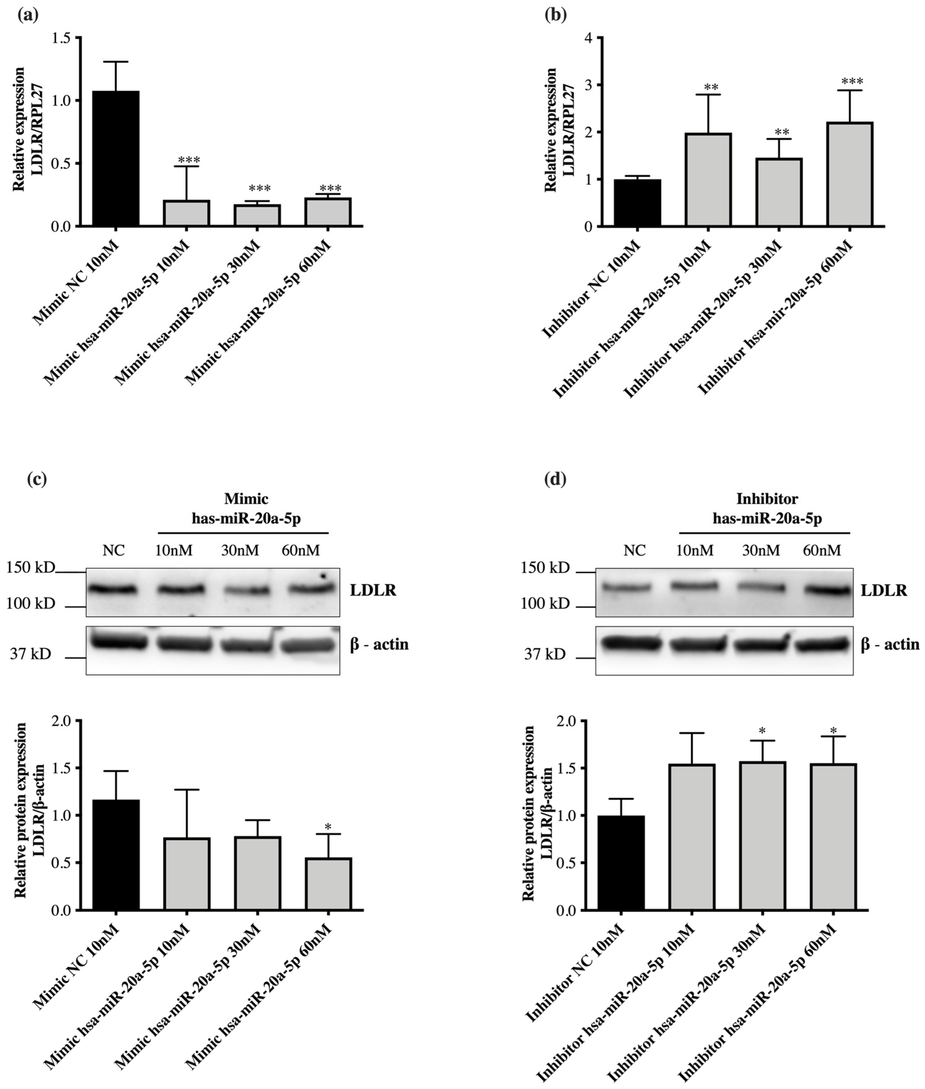Ijms 23 05022 g004 550
