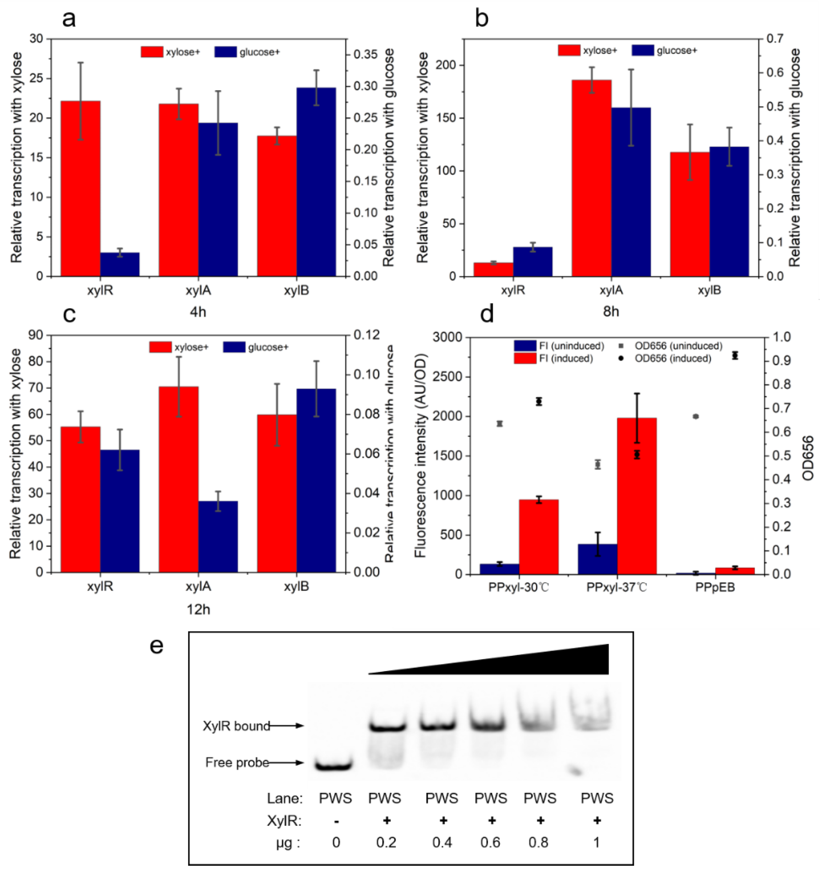 Ijms 23 05024 g001 Ijms 23 05024 g001