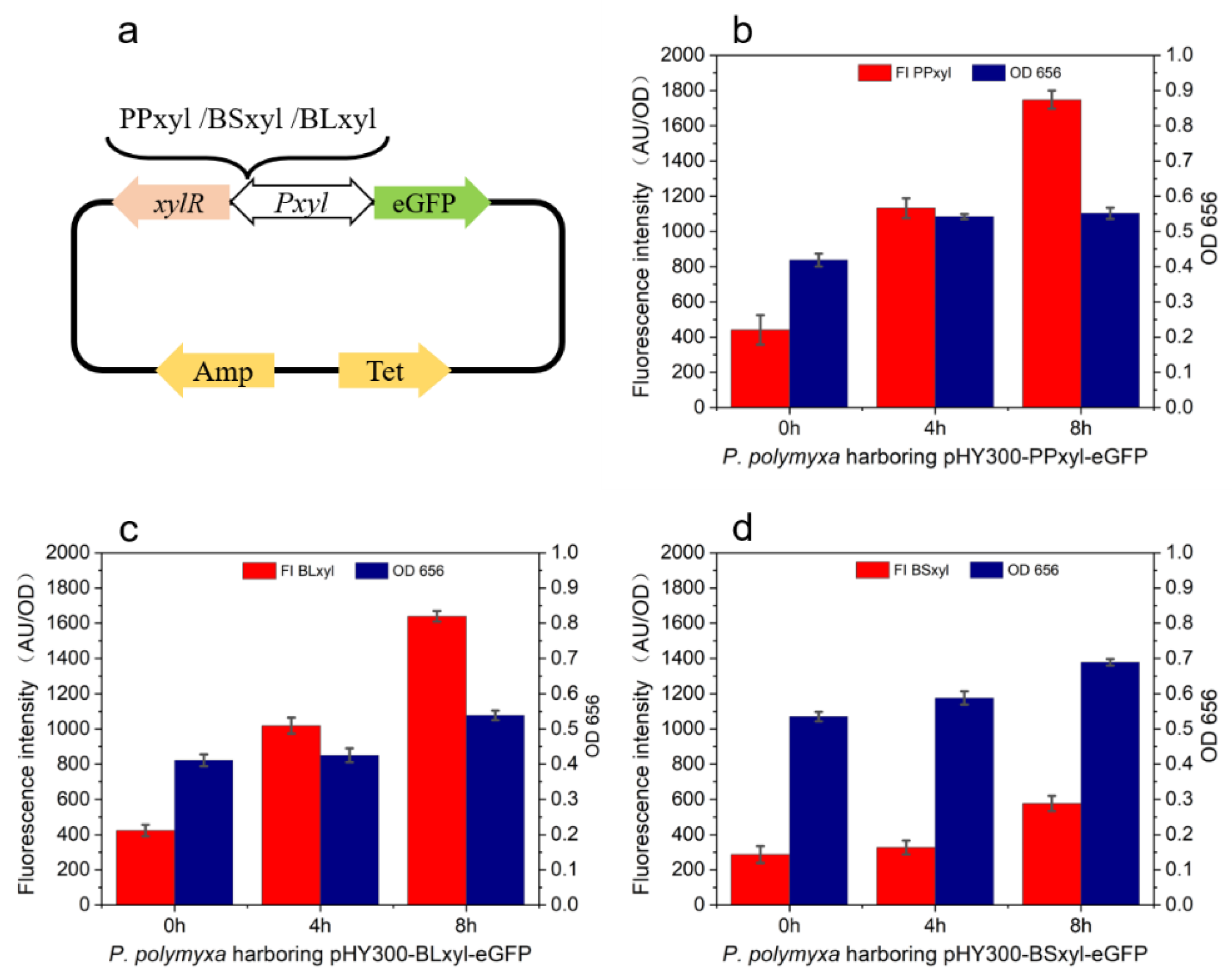 Ijms 23 05024 g002 Ijms 23 05024 g002