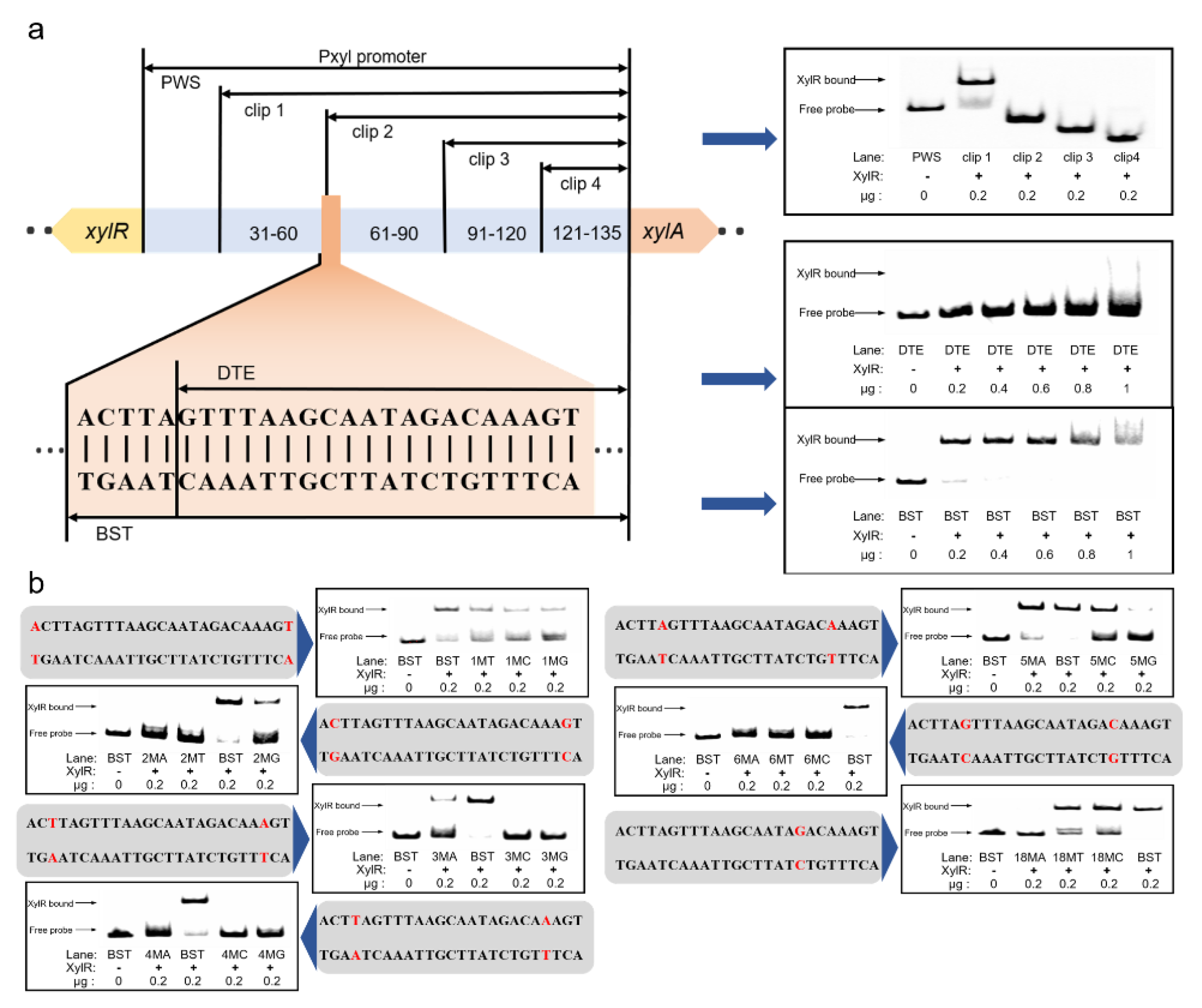Ijms 23 05024 g003 Ijms 23 05024 g003