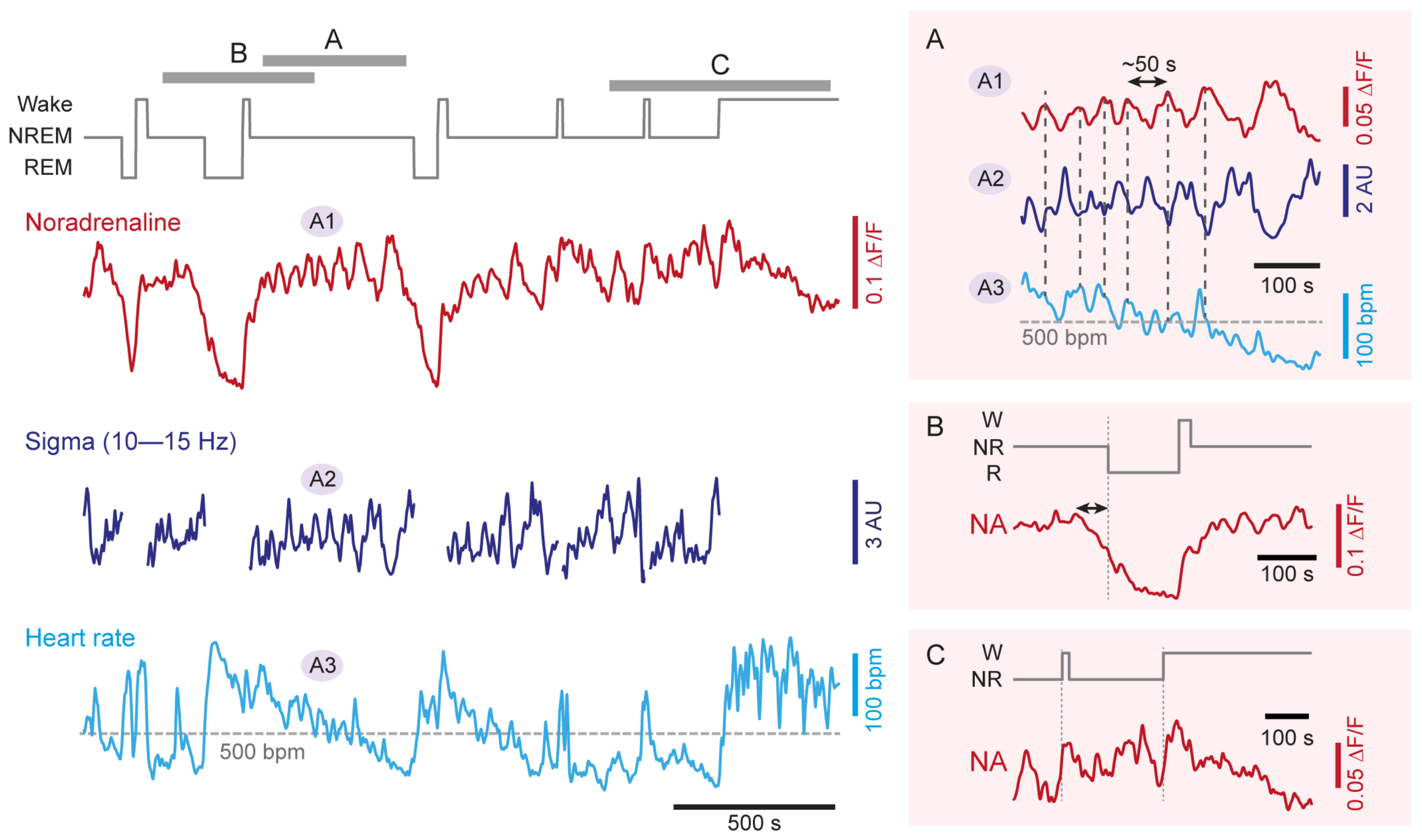 Ijms 23 05028 g002 Ijms 23 05028 g002