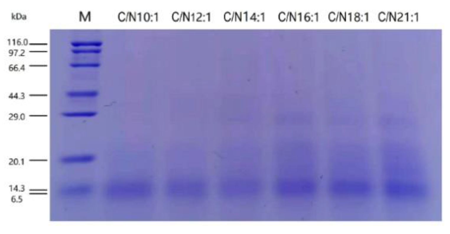 Ijms 23 05036 g001 550