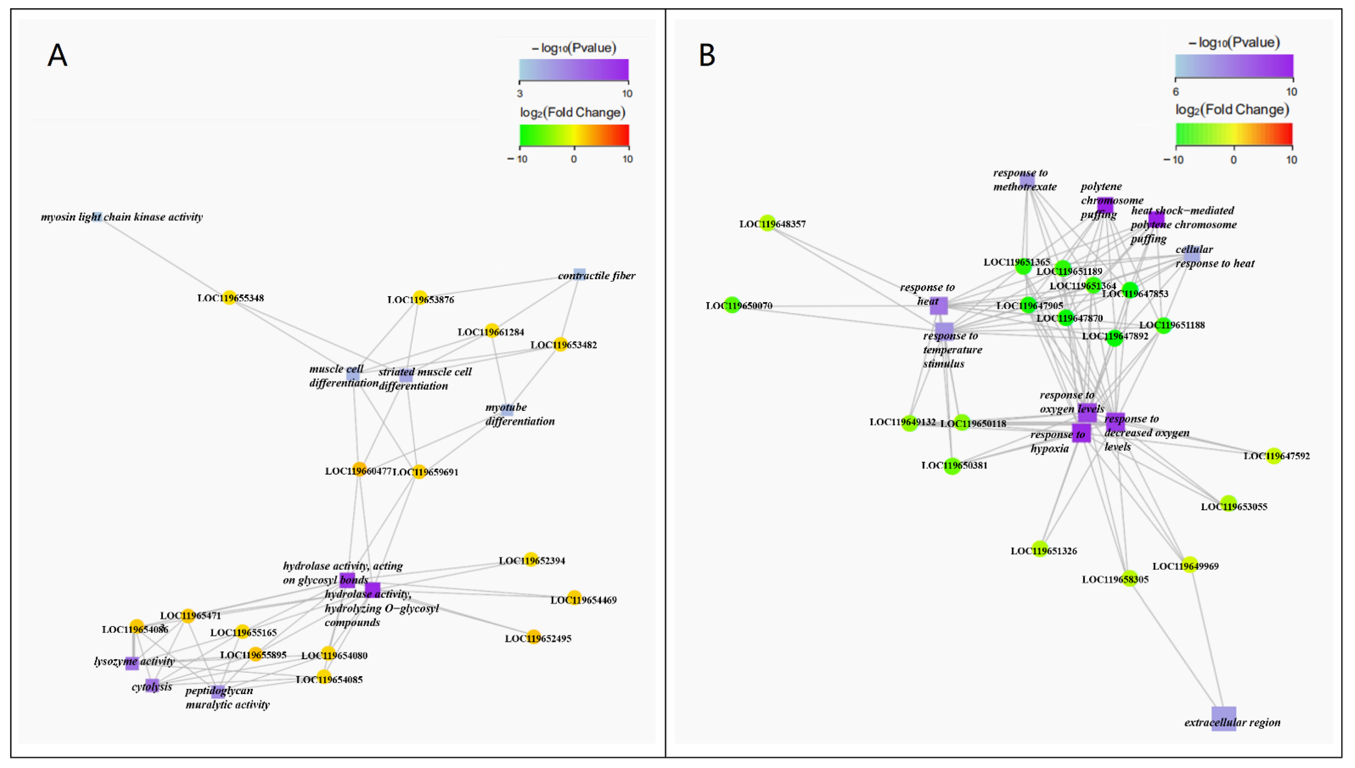 Ijms 23 05036 g007 550