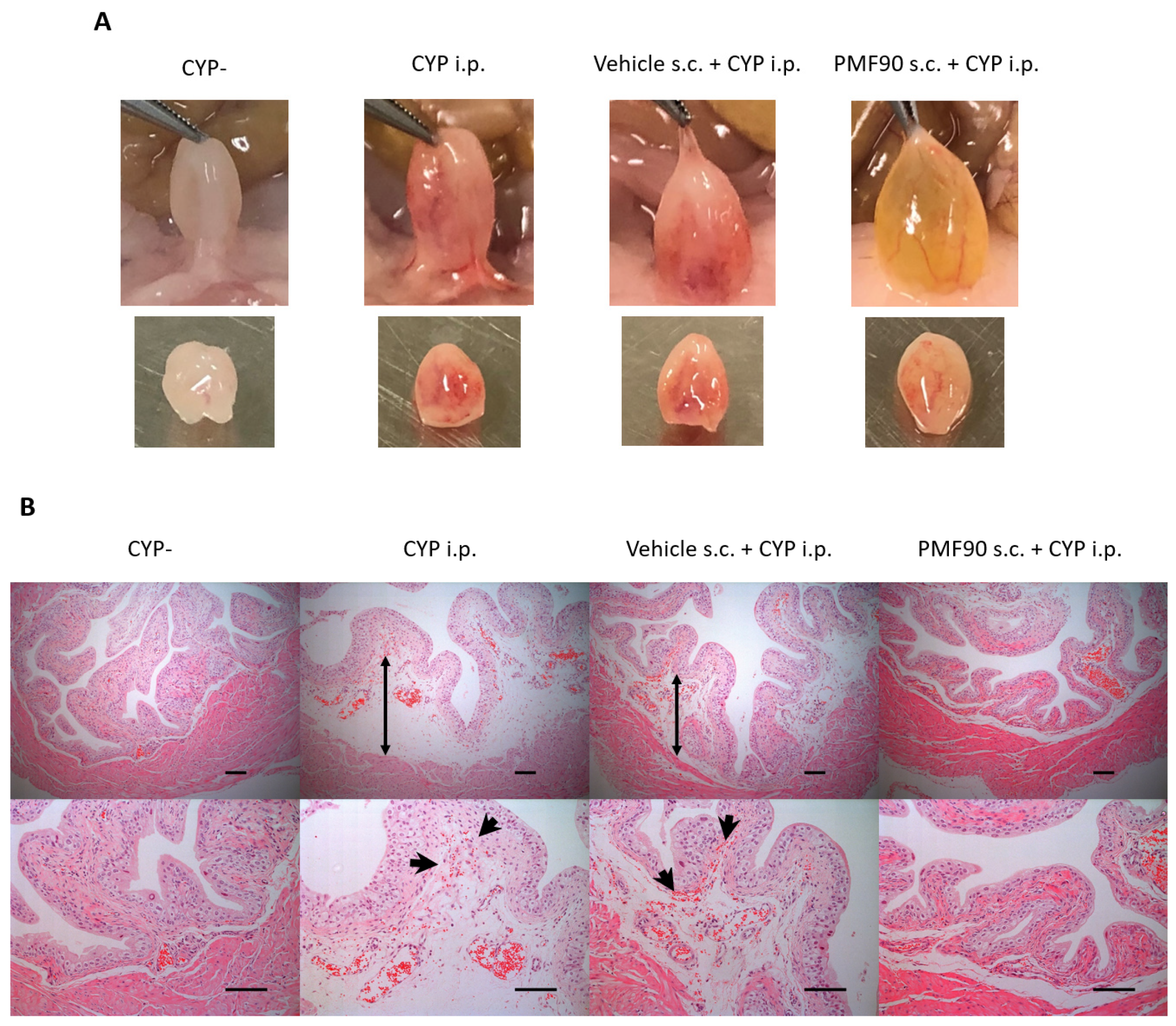 Ijms 23 05037 g002 Ijms 23 05037 g002
