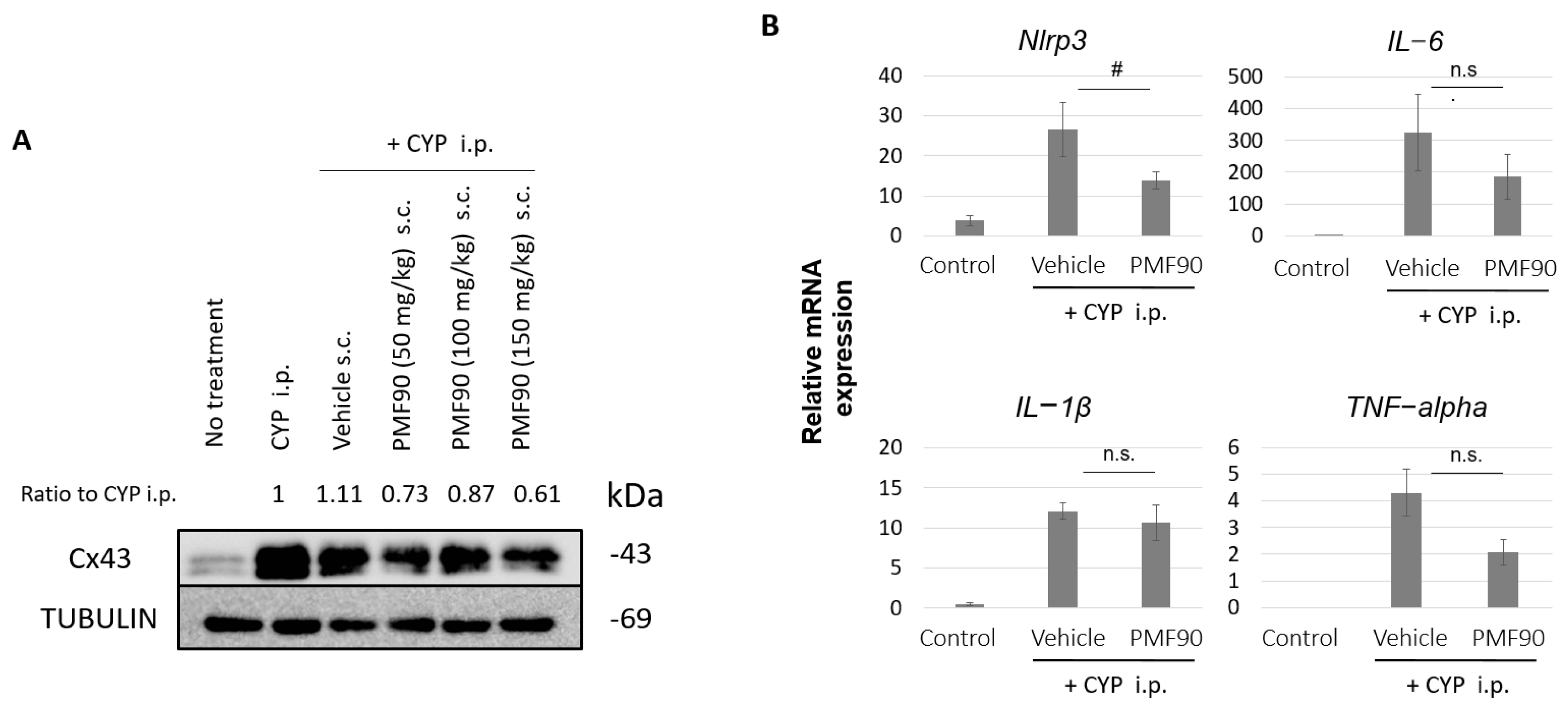 Ijms 23 05037 g003 Ijms 23 05037 g003