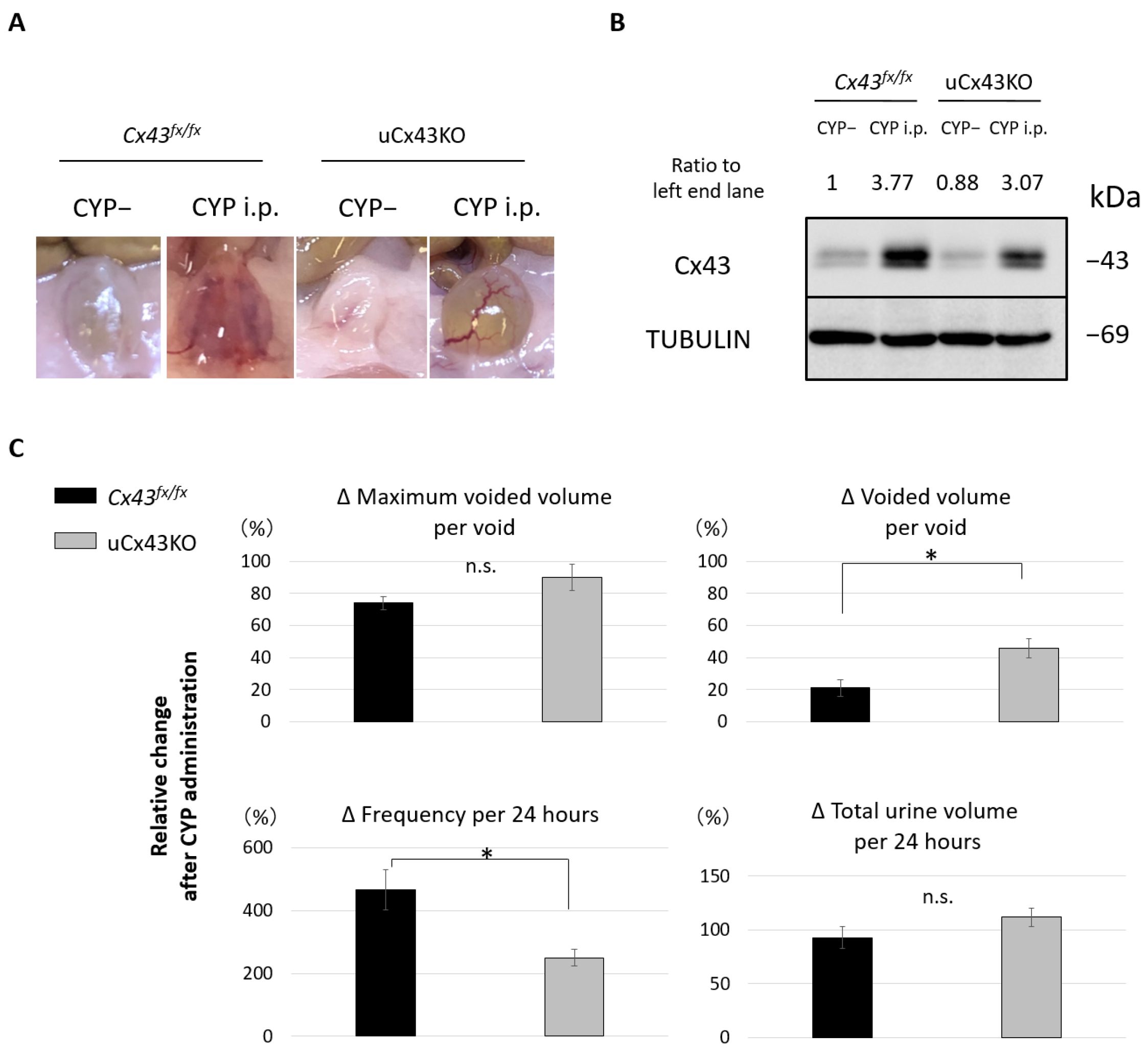 Ijms 23 05037 g005 Ijms 23 05037 g005