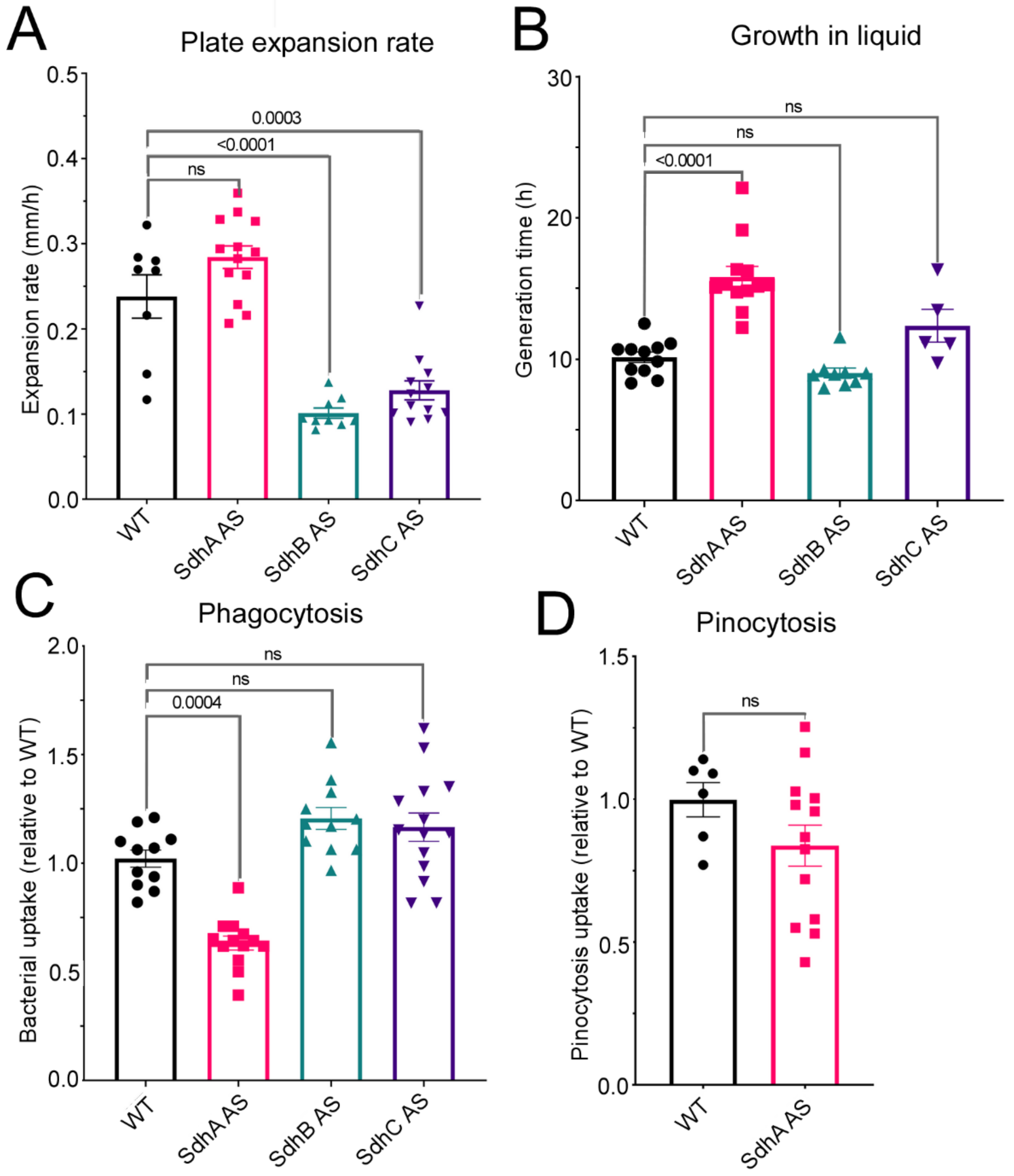 Ijms 23 05039 g002 550