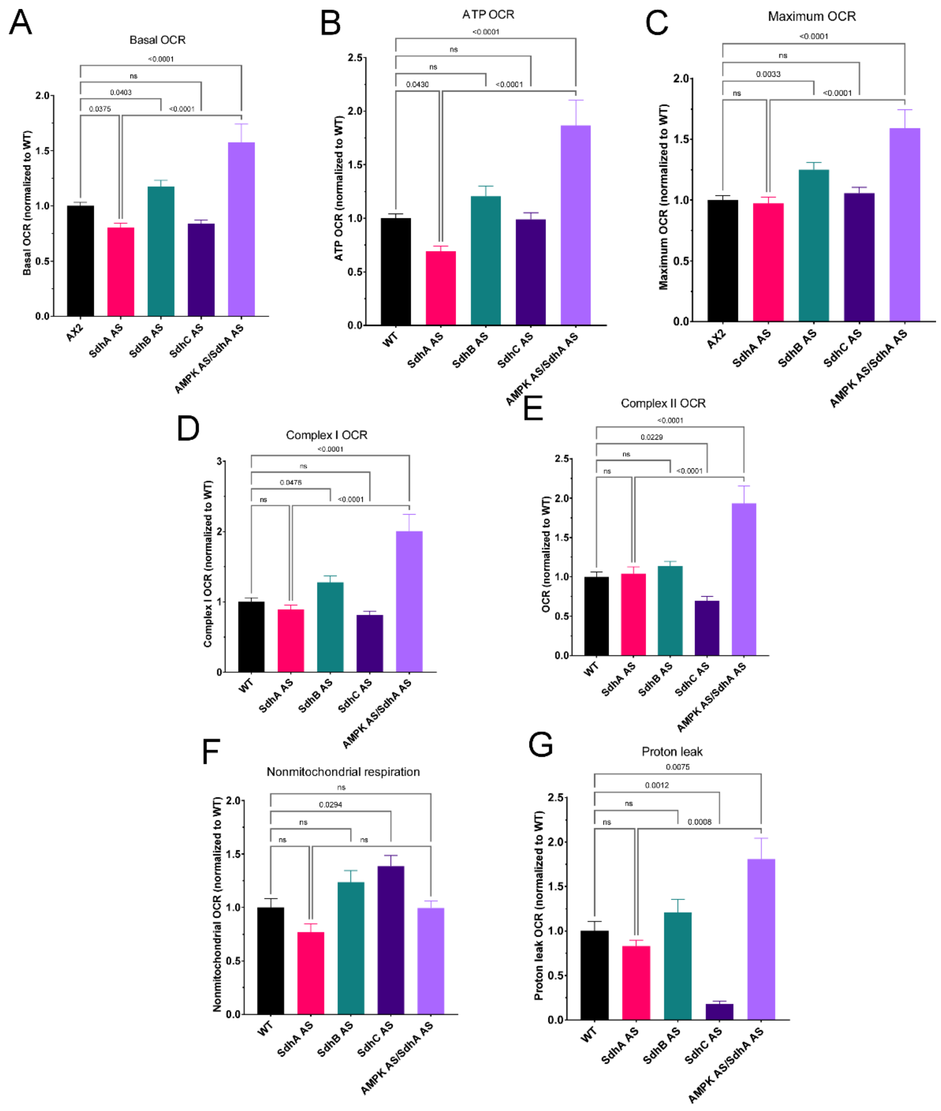 Ijms 23 05039 g006 550