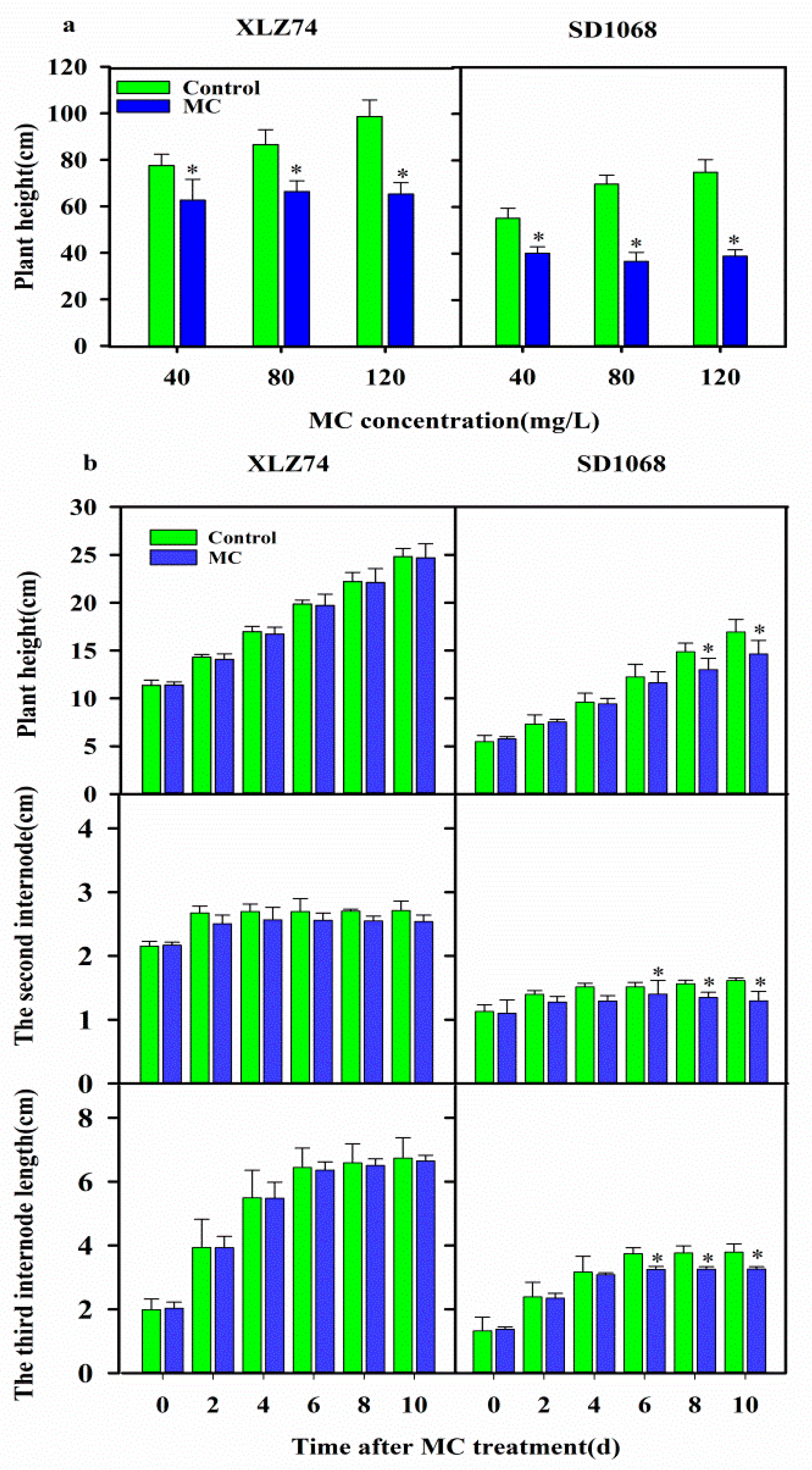 IJMS | Free Full-Text | Transcriptome Profiling Provides New