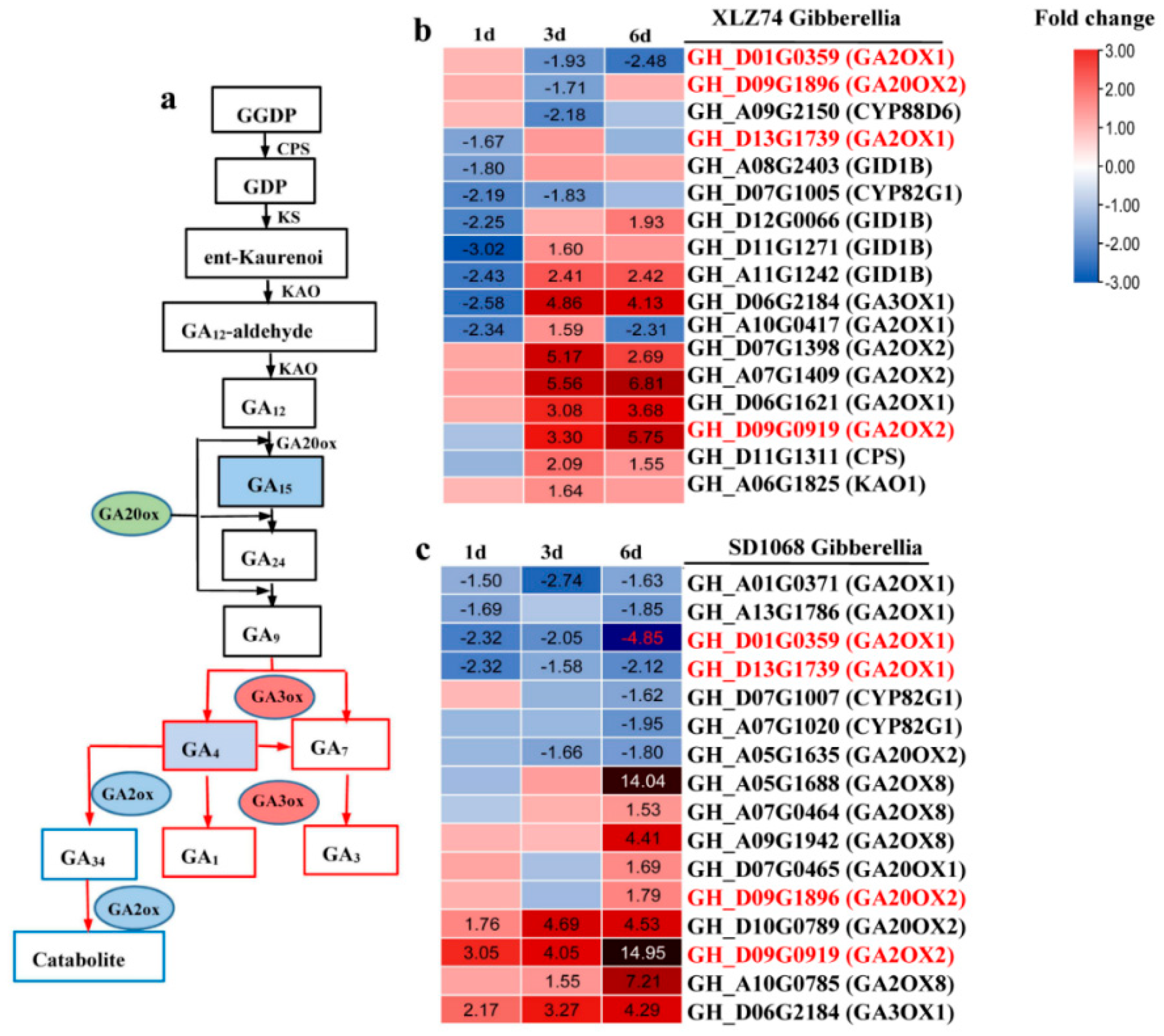Ijms 23 05043 g005 550