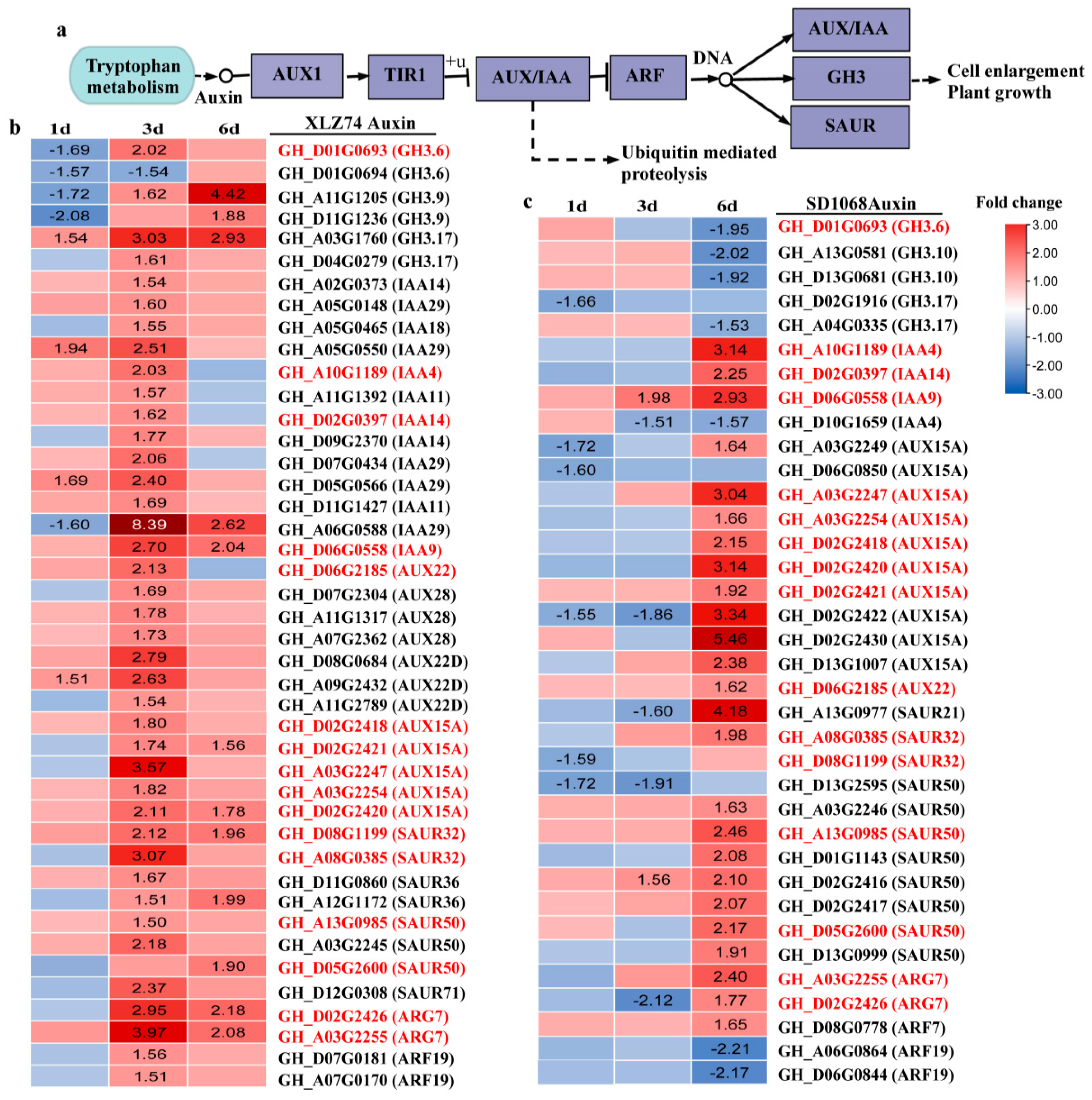 Ijms 23 05043 g006 550