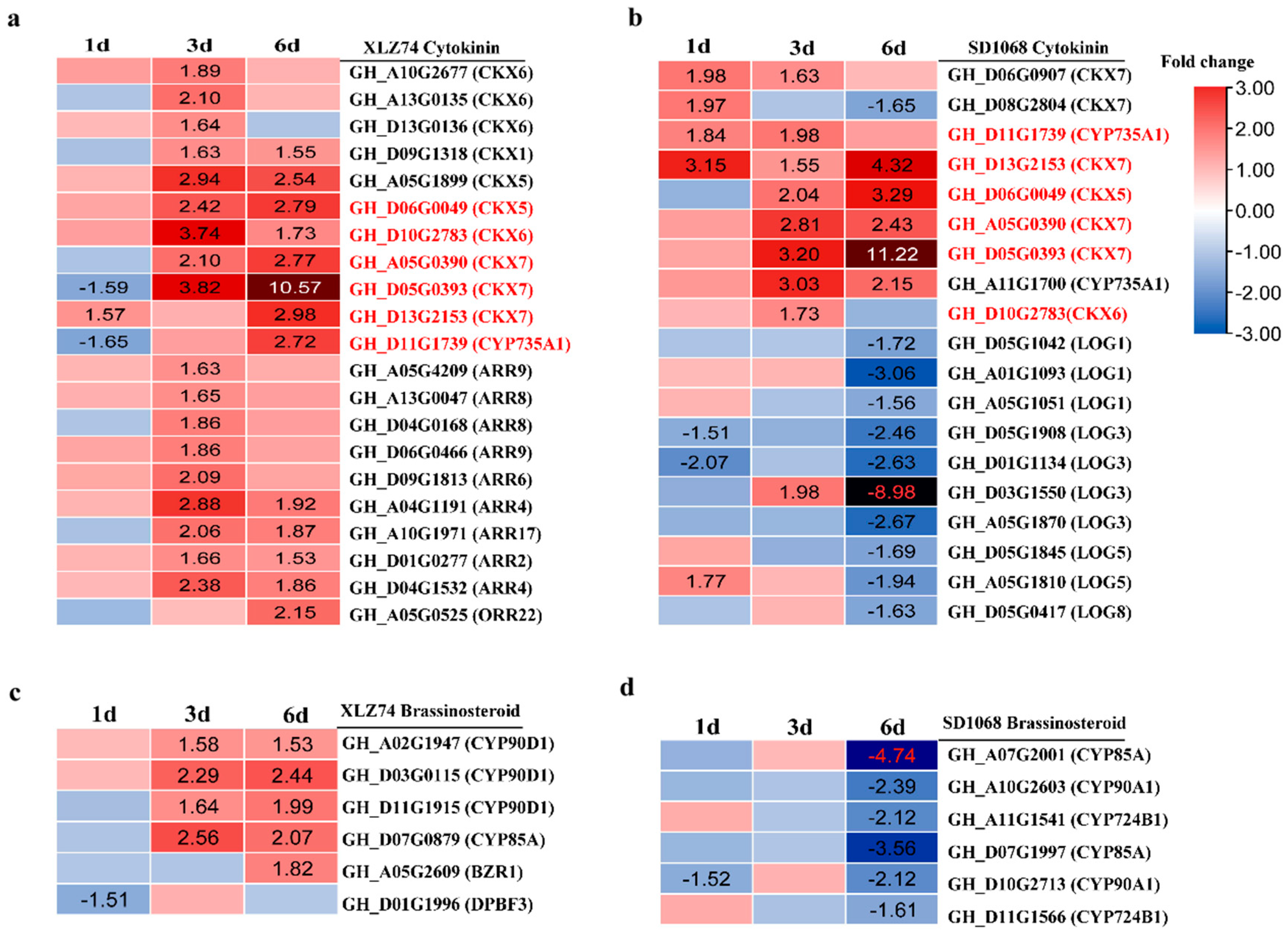 Ijms 23 05043 g007 550