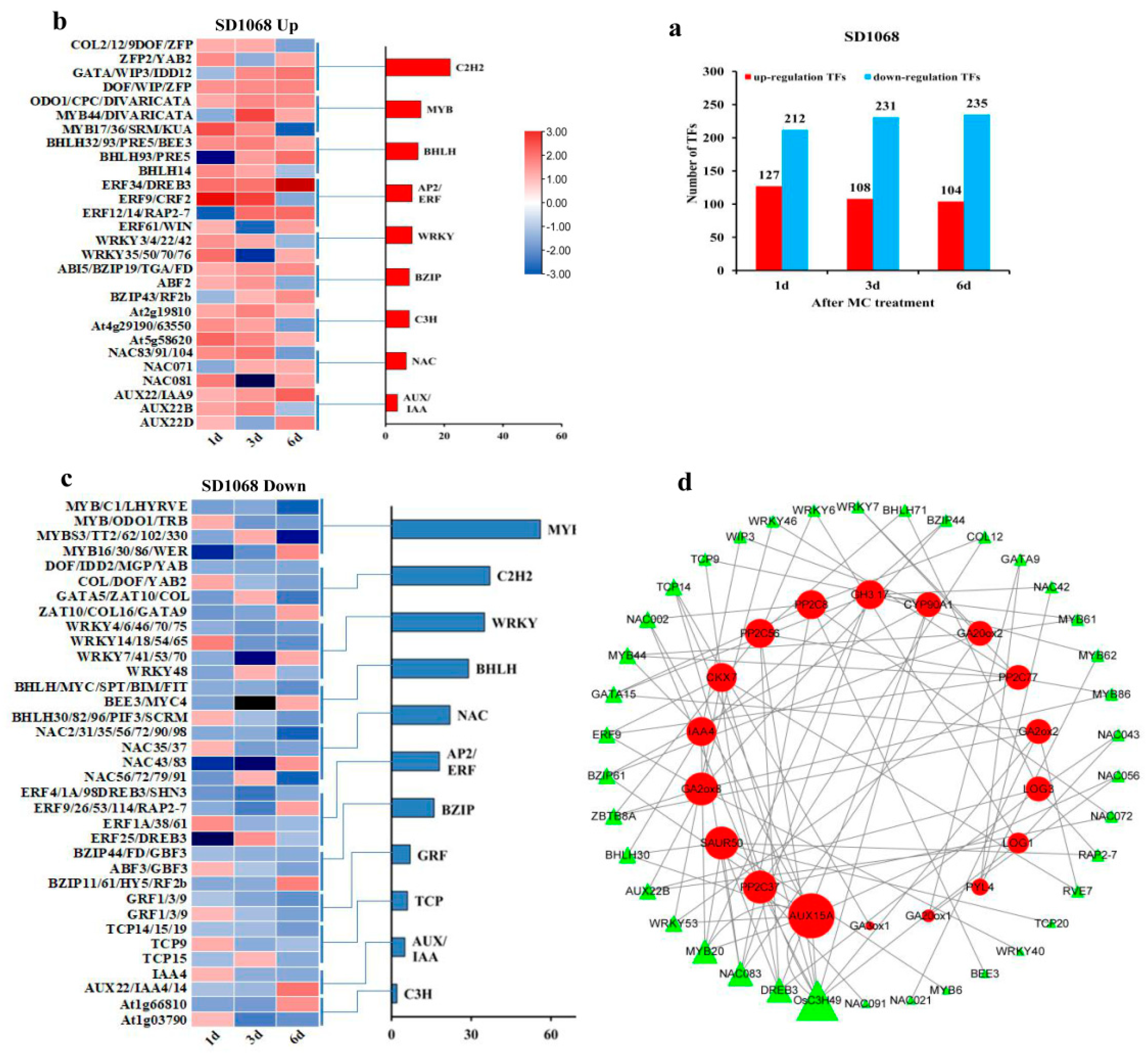 Ijms 23 05043 g009 550