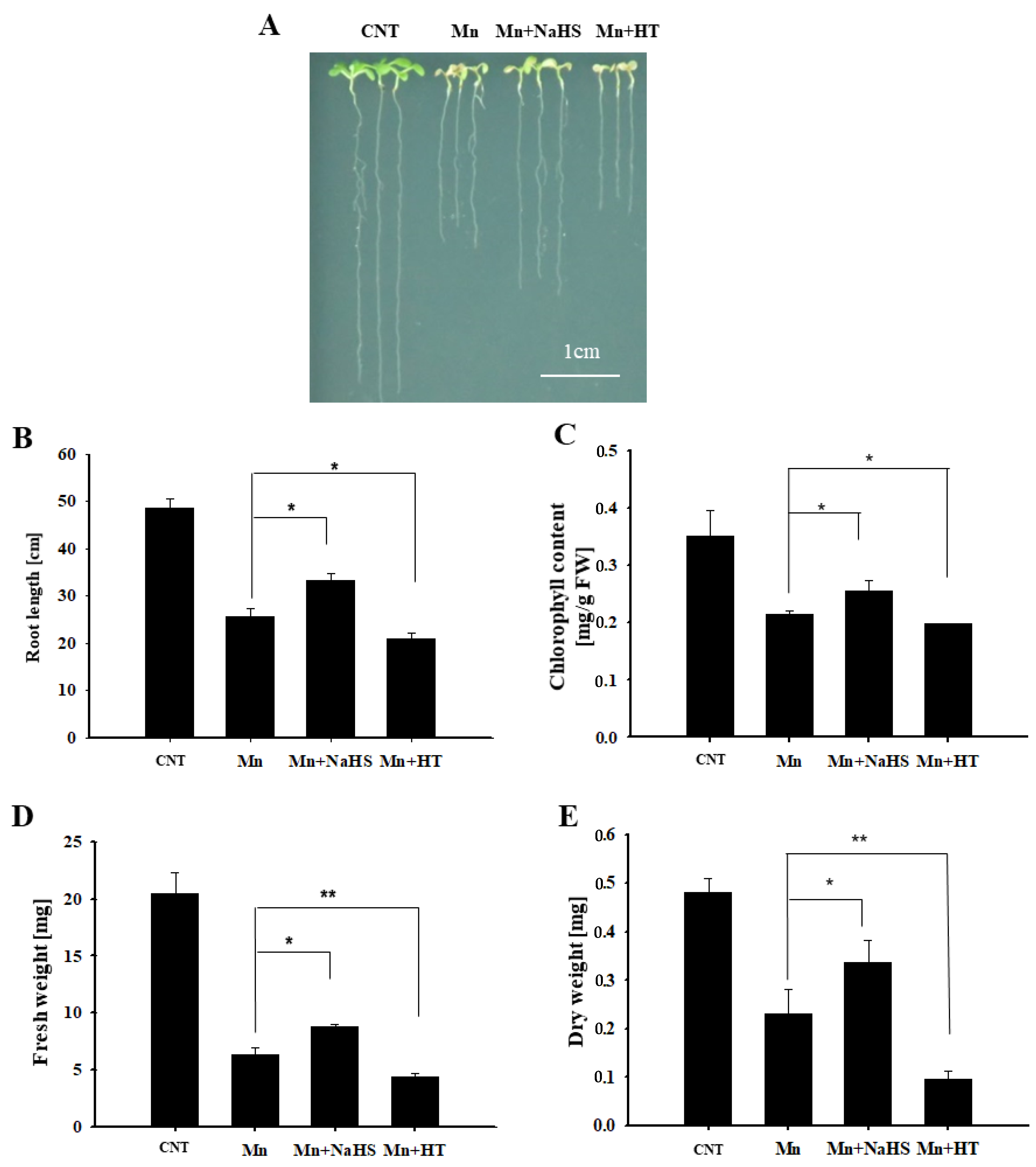 Ijms 23 05046 g002 550