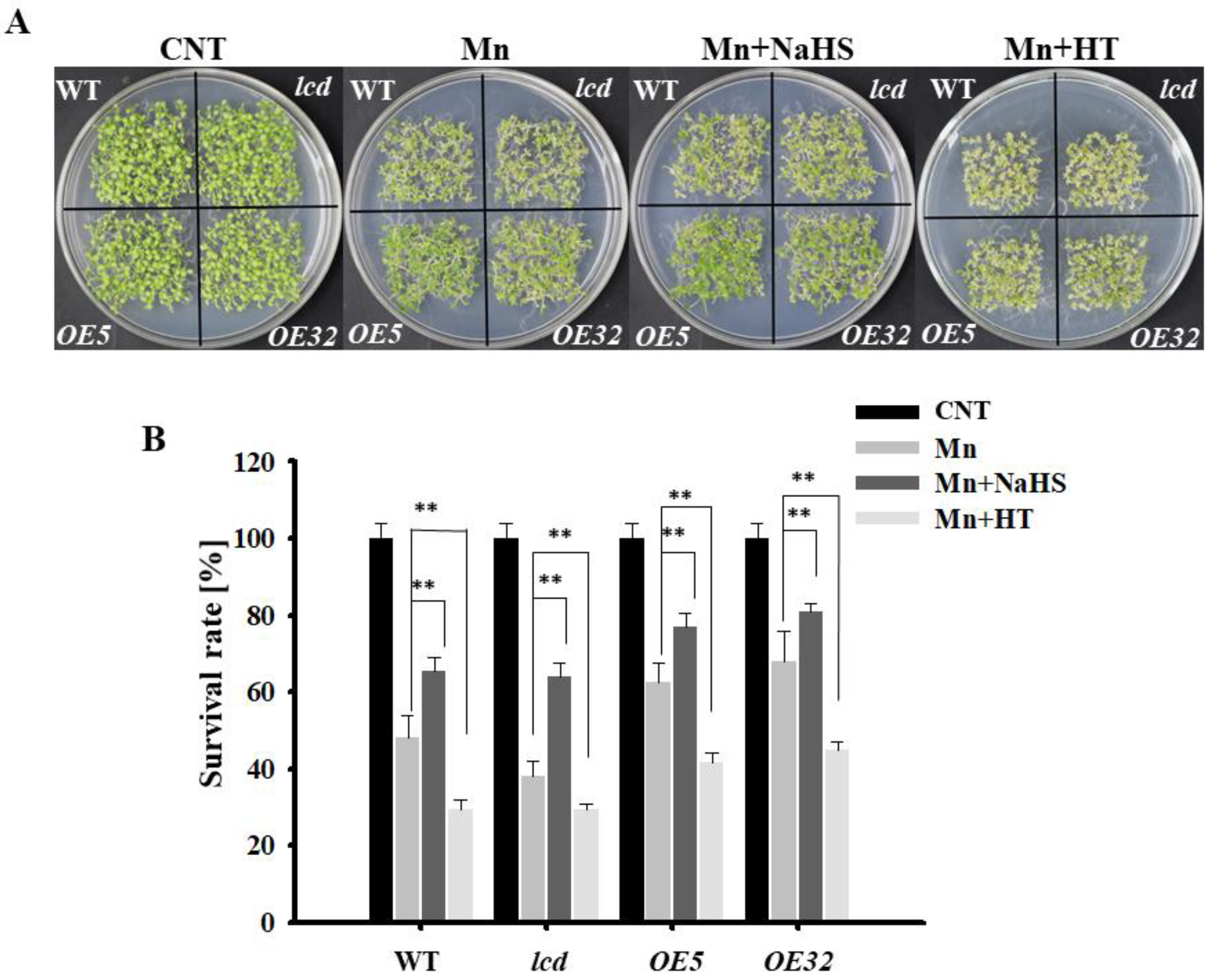 Ijms 23 05046 g003 550