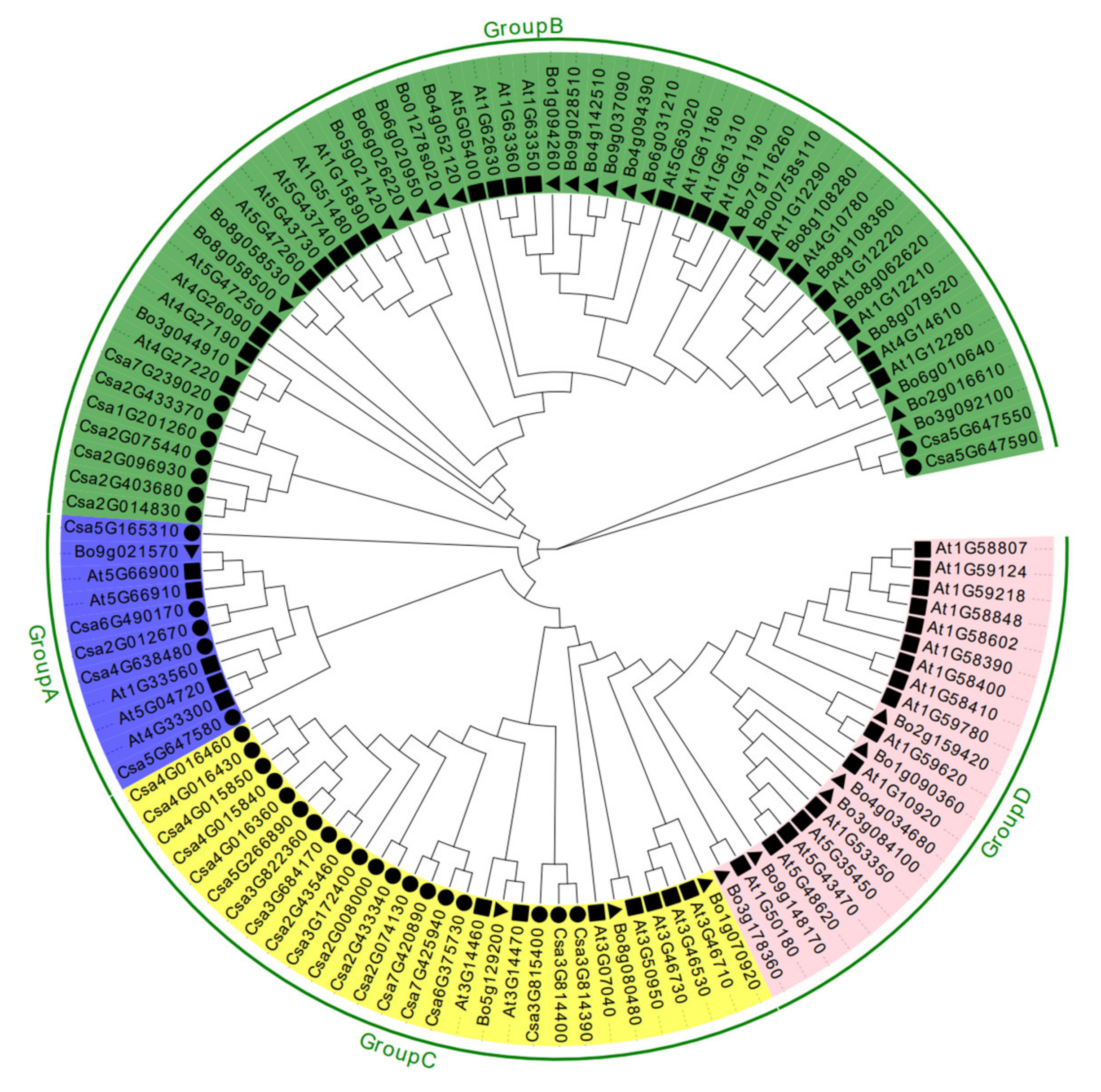Ijms 23 05048 g002 Ijms 23 05048 g002