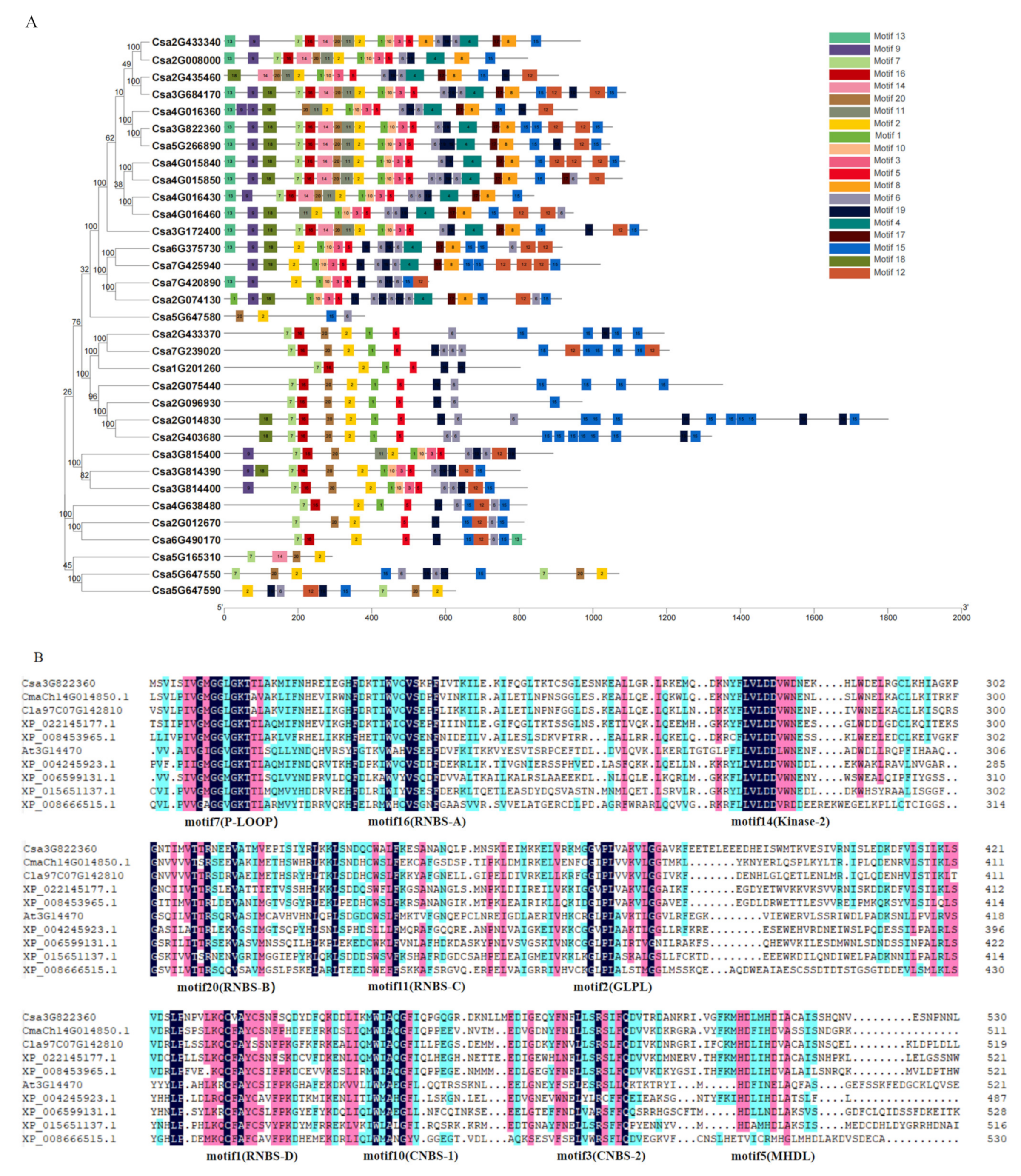Ijms 23 05048 g003 Ijms 23 05048 g003