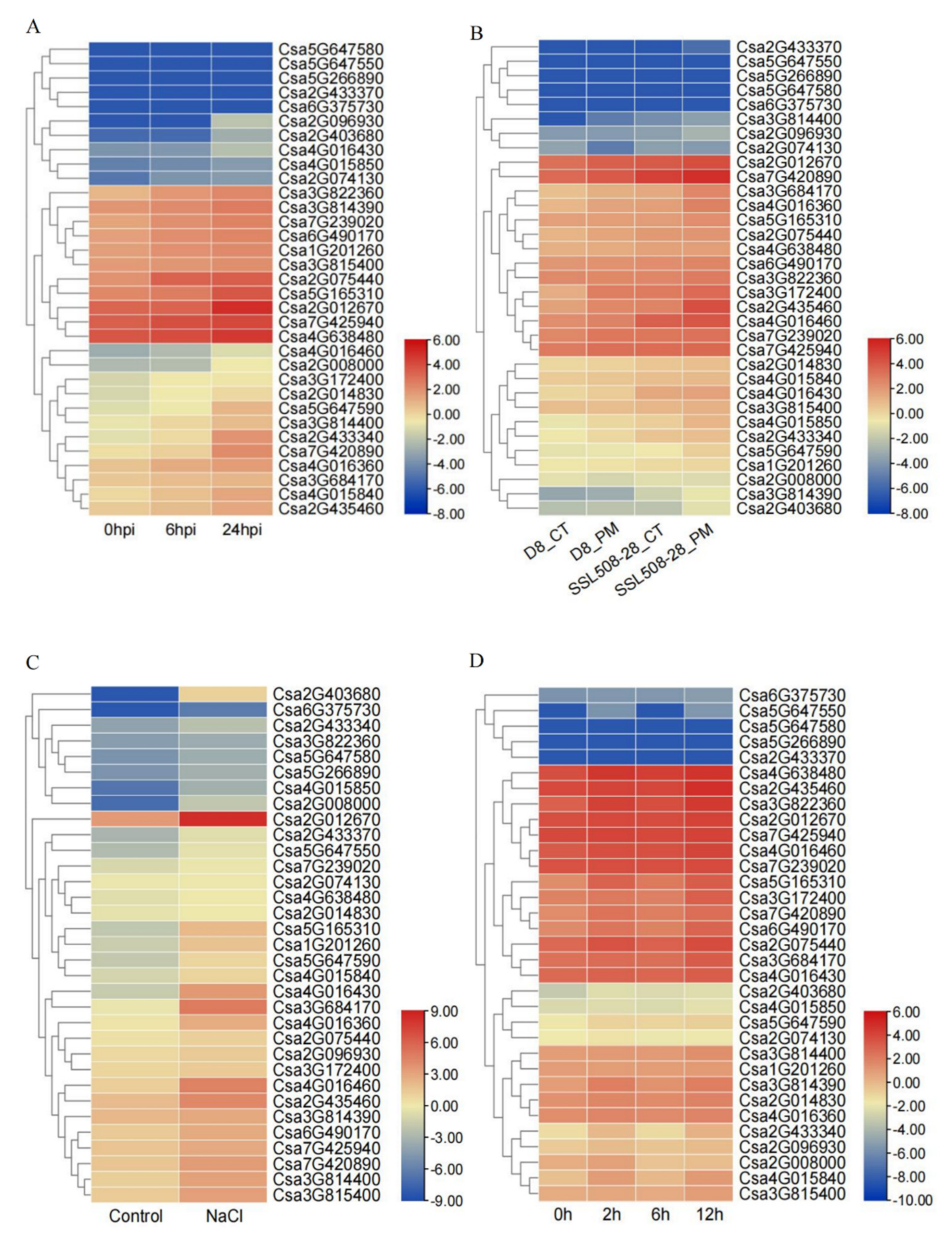Ijms 23 05048 g006 Ijms 23 05048 g006