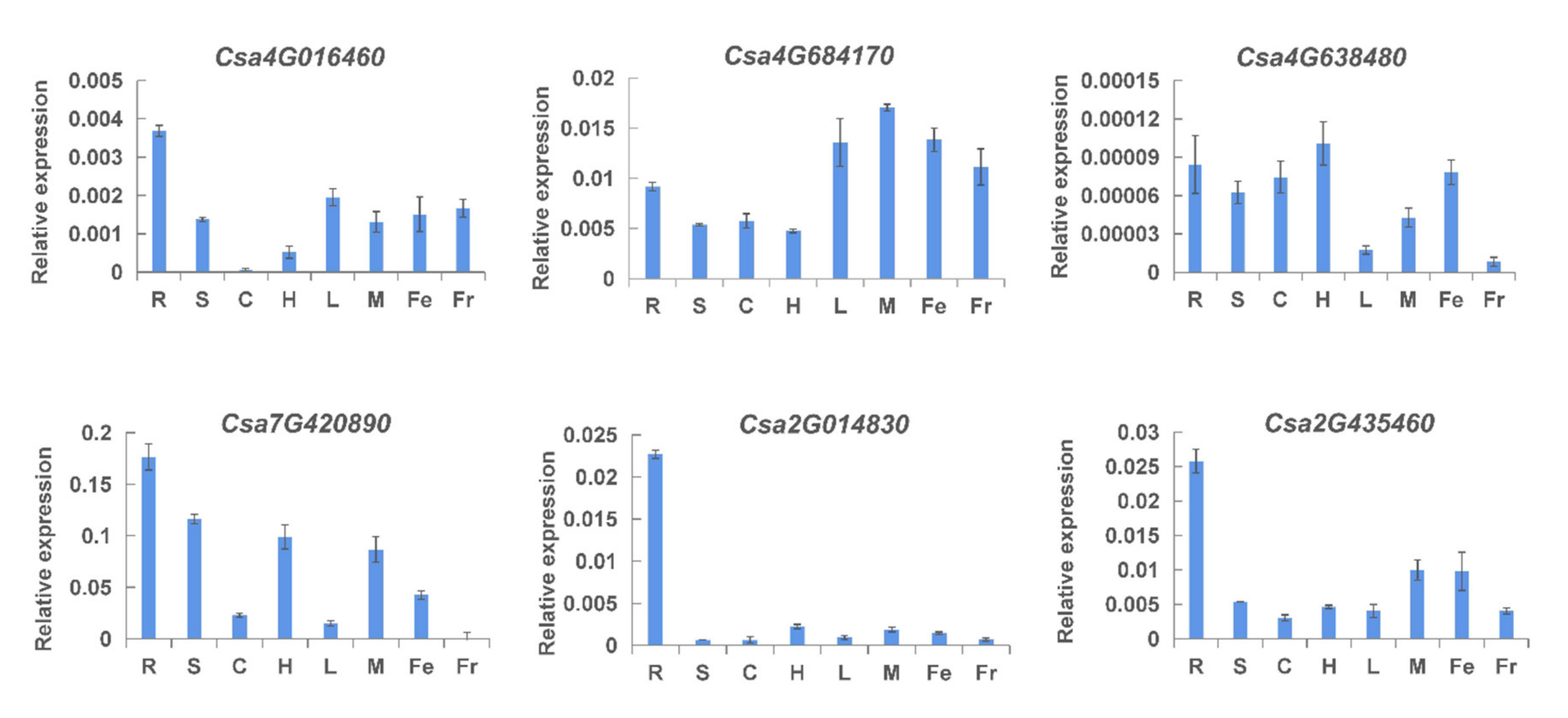 Ijms 23 05048 g007 Ijms 23 05048 g007