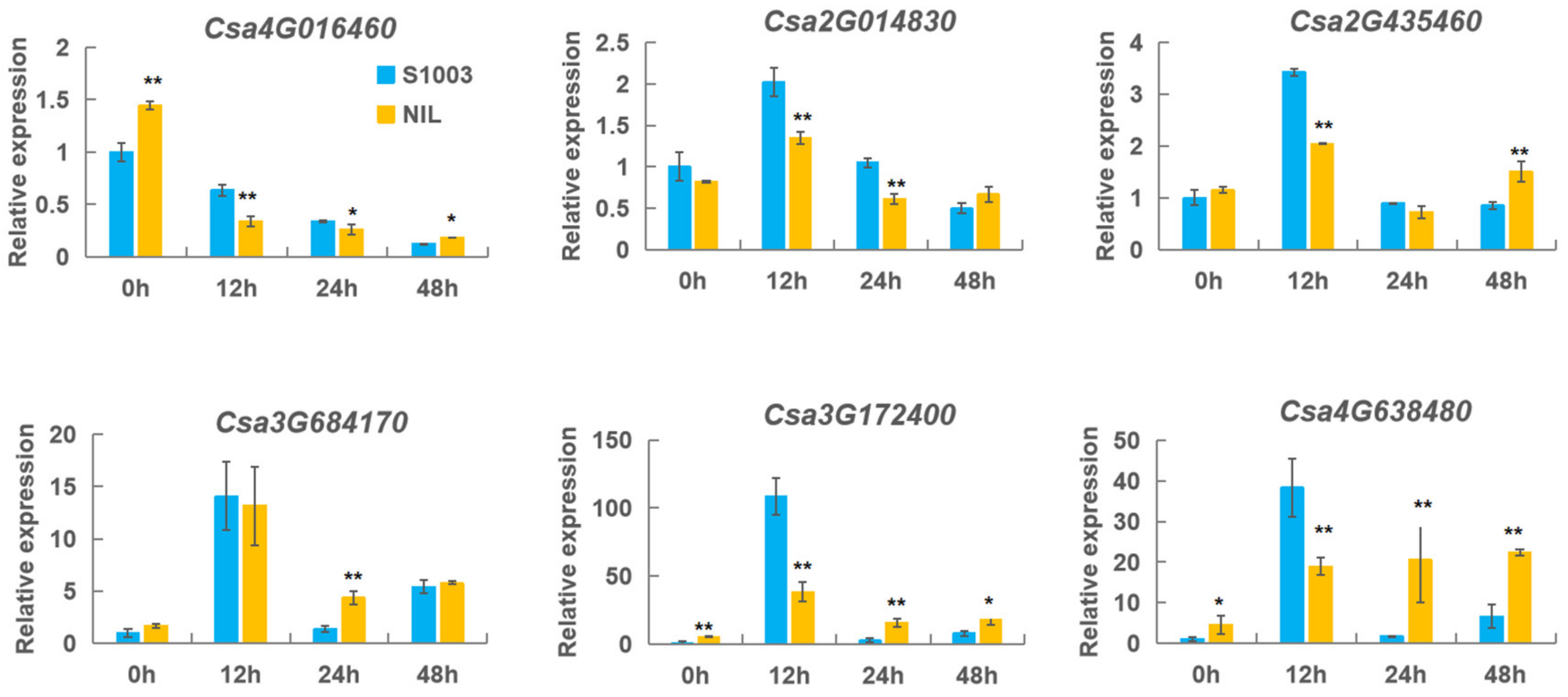 Ijms 23 05048 g008 Ijms 23 05048 g008