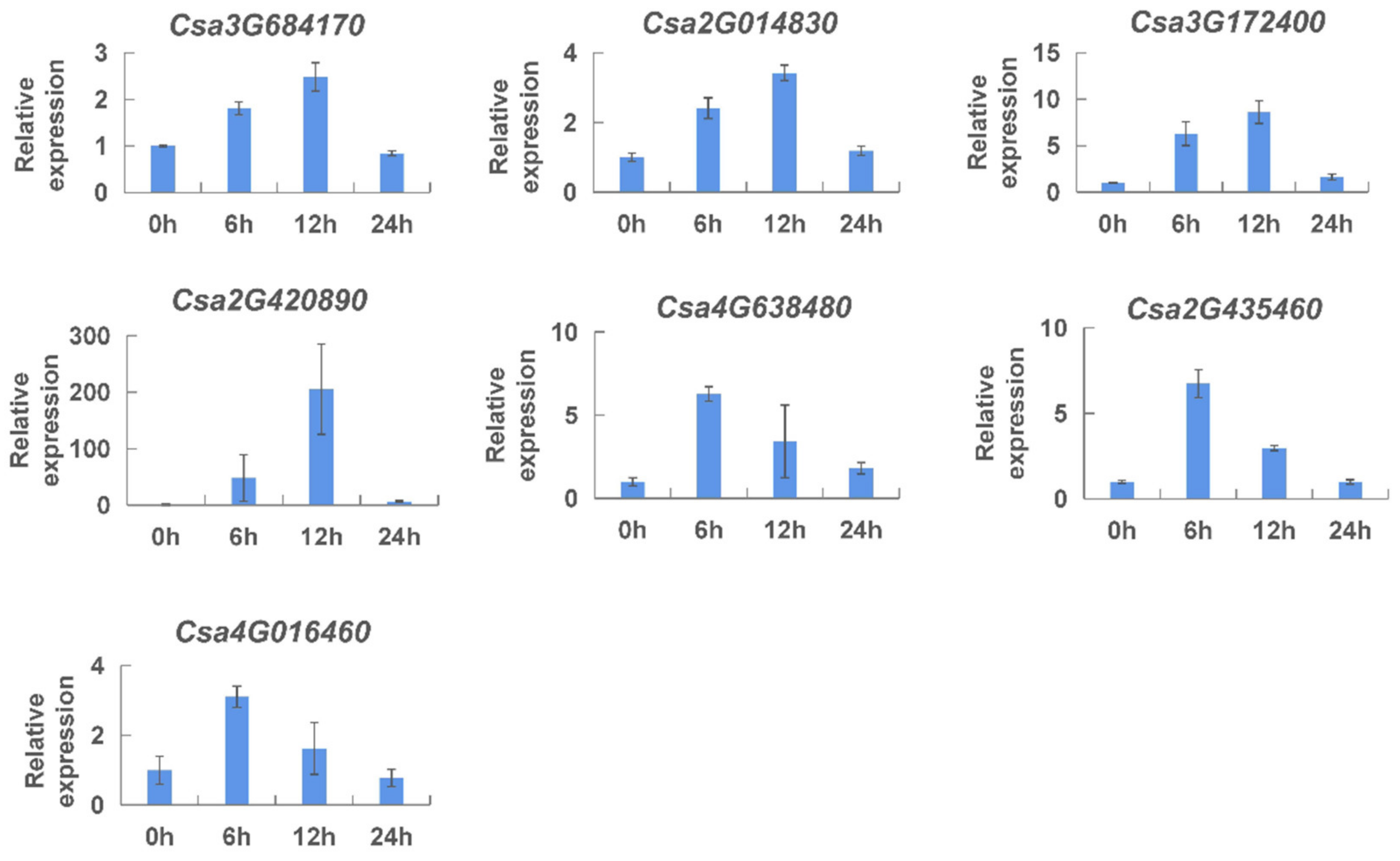 Ijms 23 05048 g010 Ijms 23 05048 g010