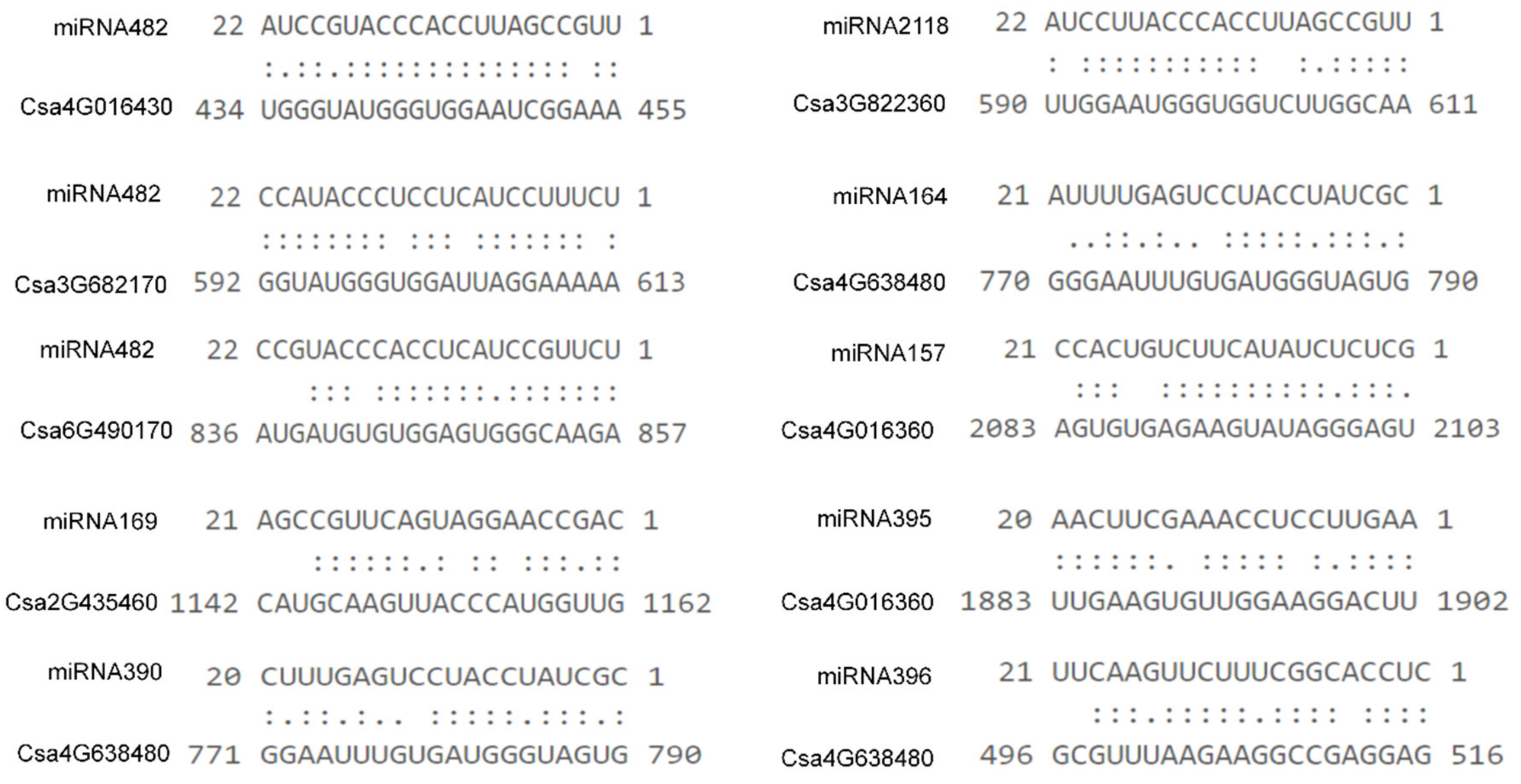 Ijms 23 05048 g012 Ijms 23 05048 g012