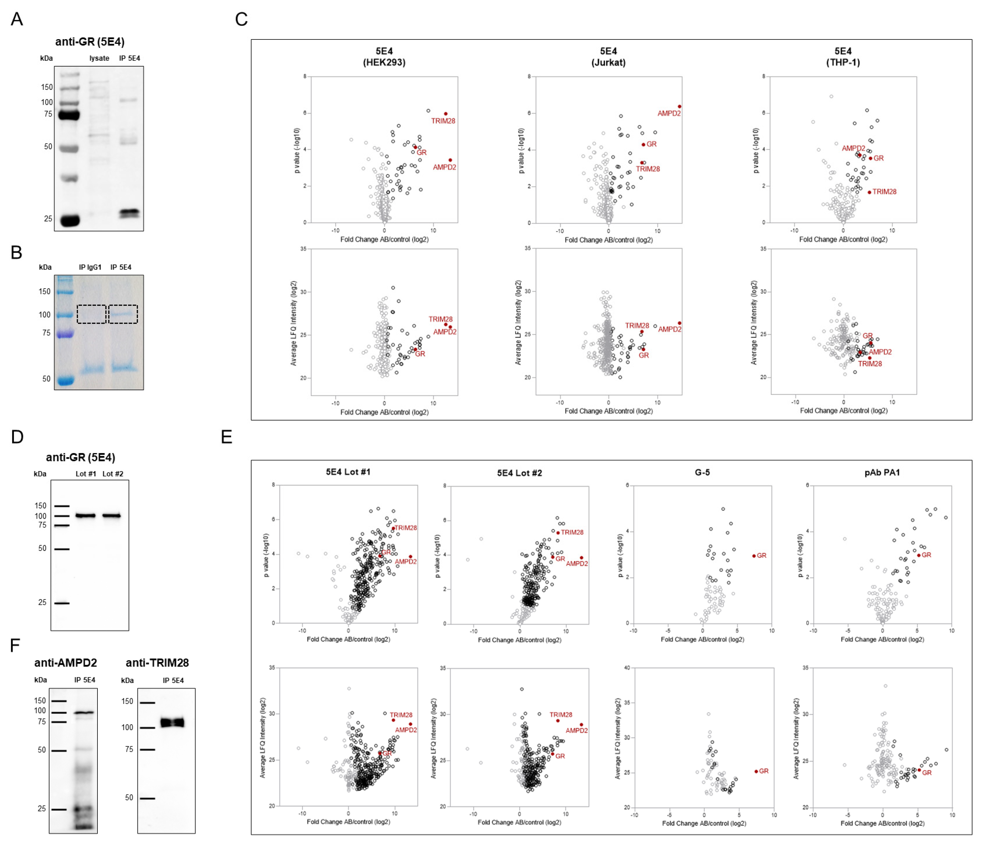 Ijms 23 05049 g002 550