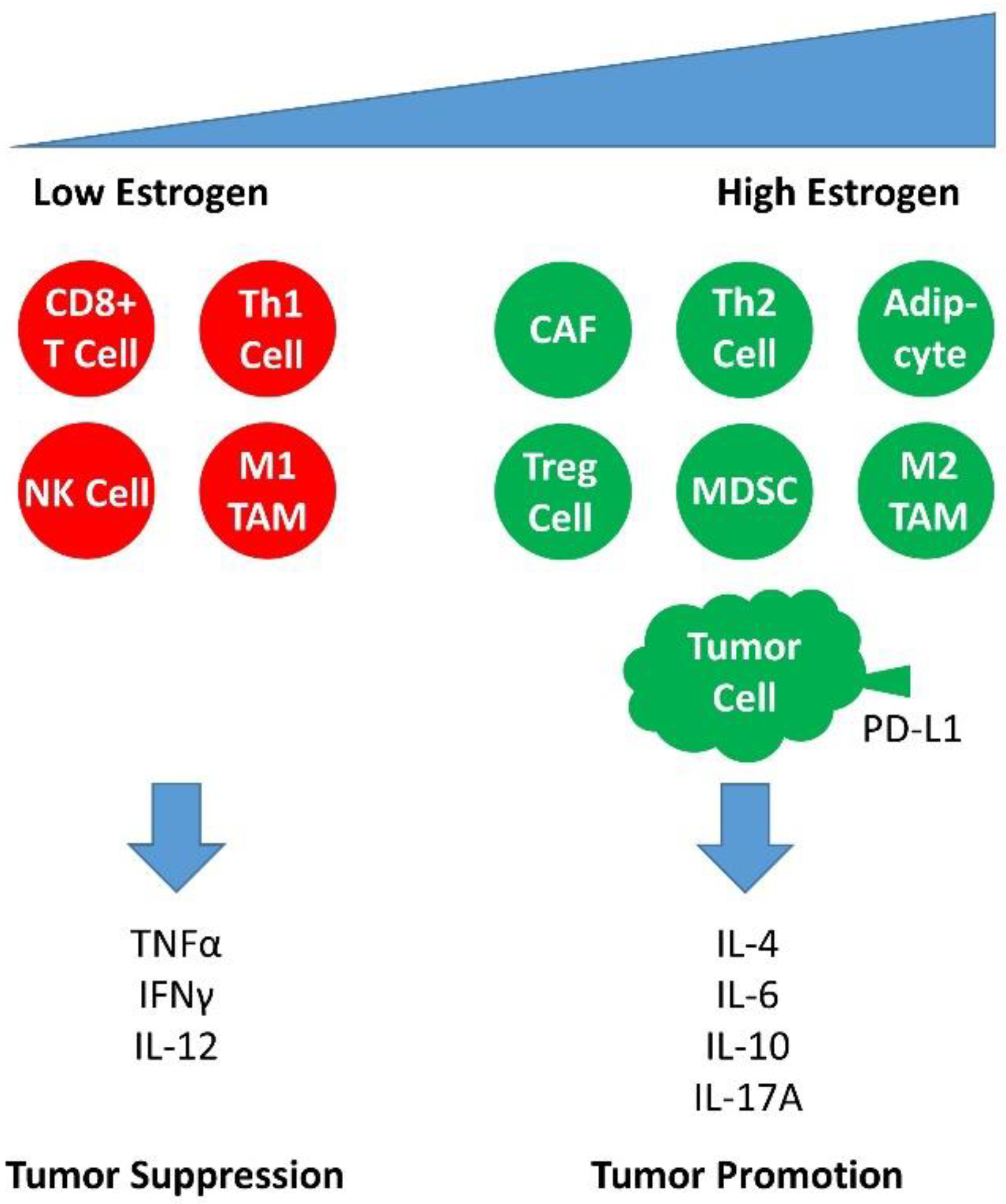 Ijms 23 05050 g003 Ijms 23 05050 g003