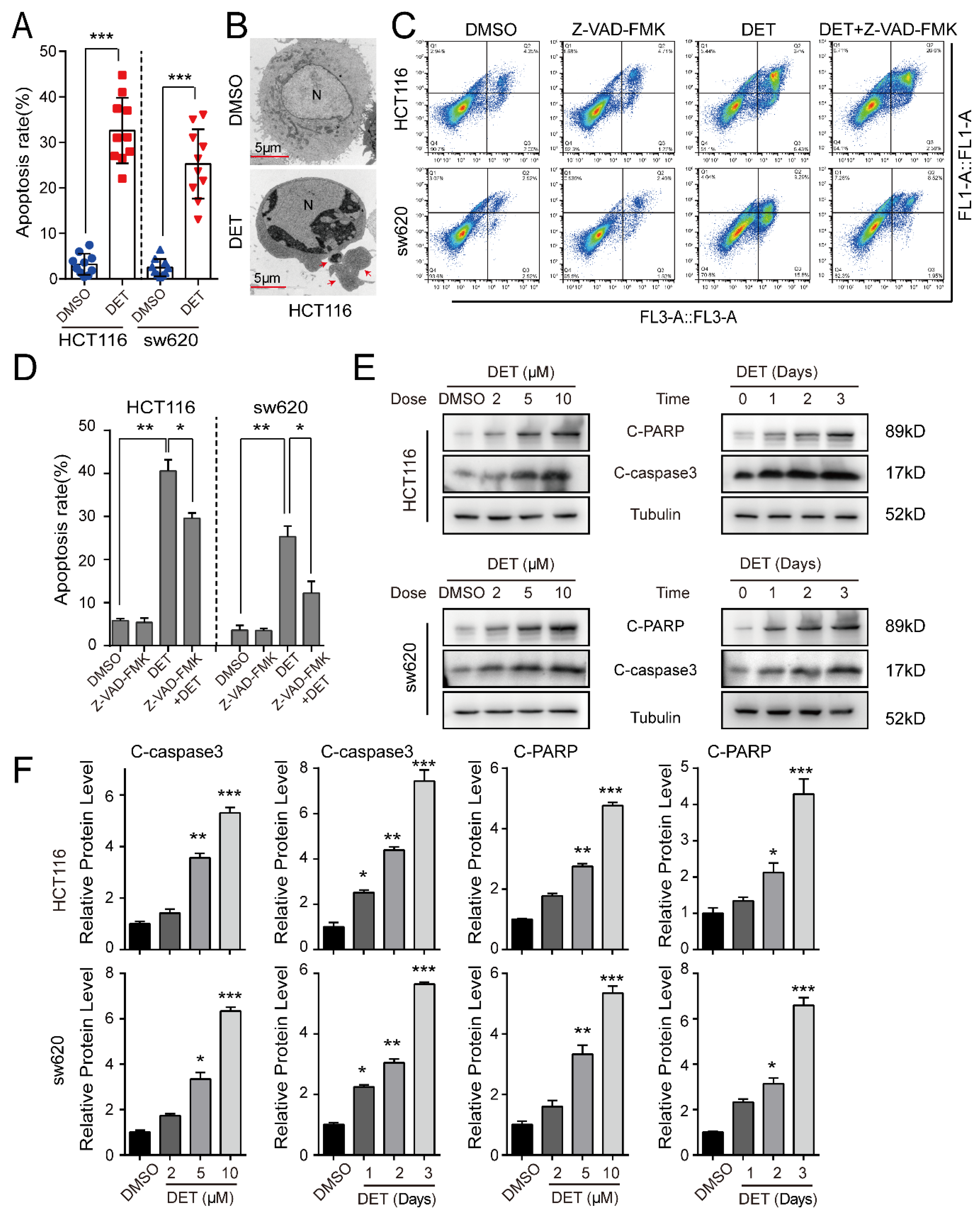 Ijms 23 05051 g003 550