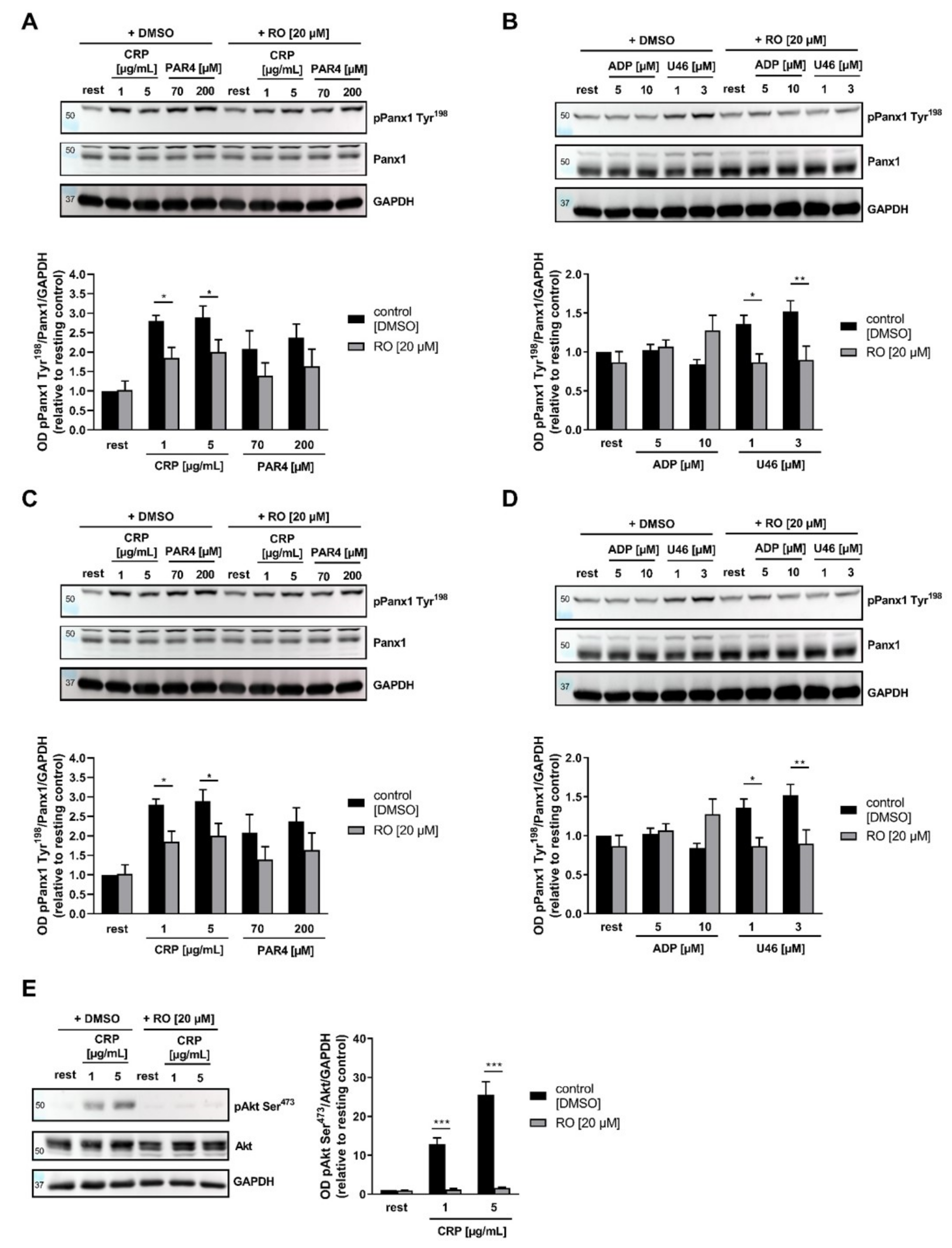 Ijms 23 05059 g003 550