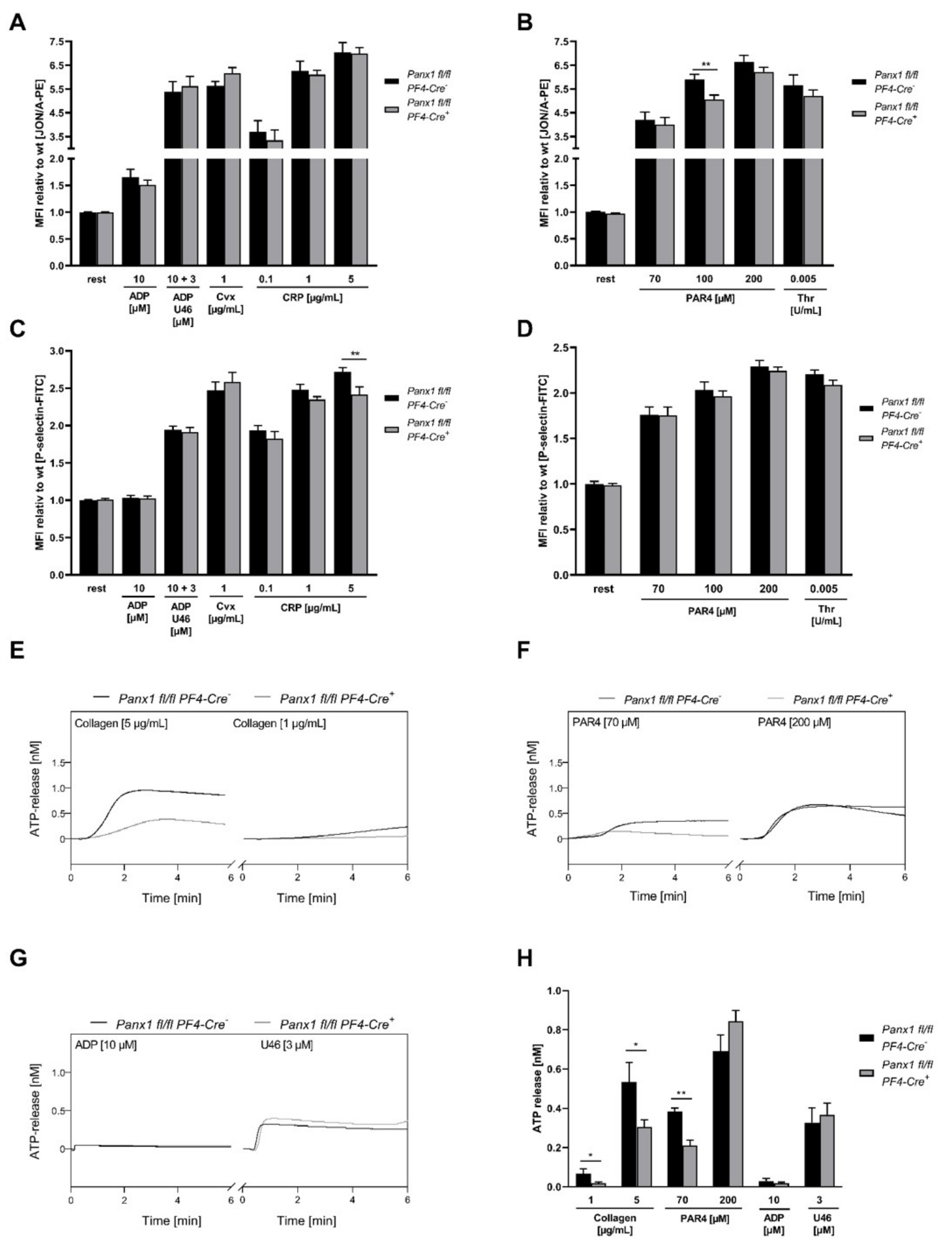 Ijms 23 05059 g004 550