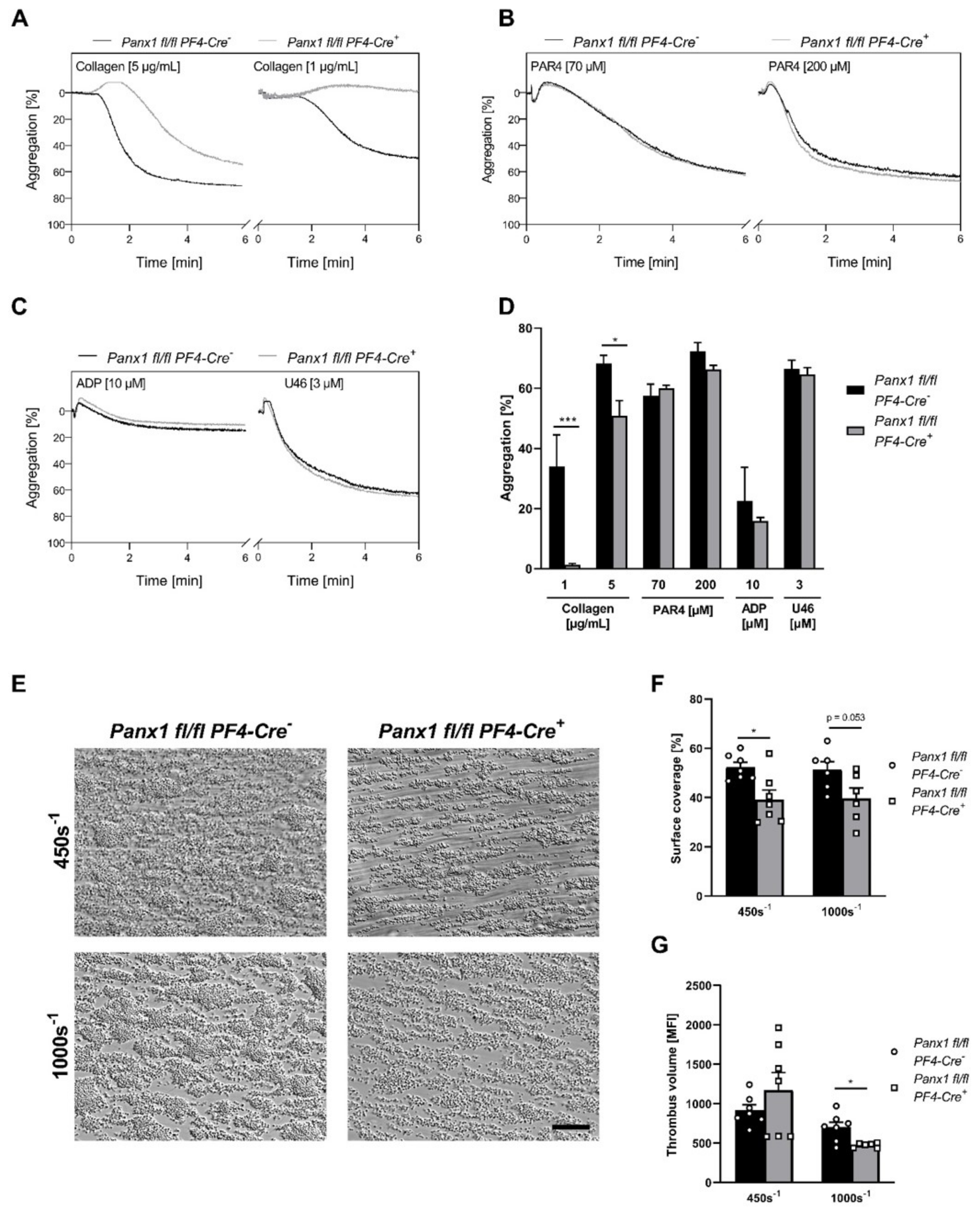 Ijms 23 05059 g005 550