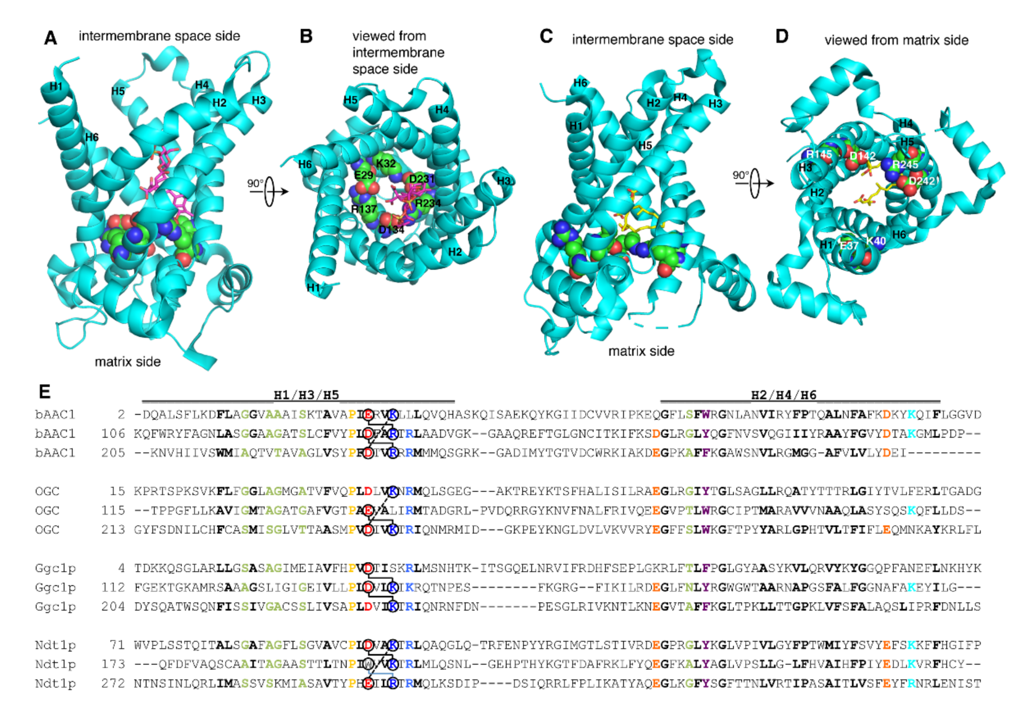 Ijms 23 05060 g001 Ijms 23 05060 g001