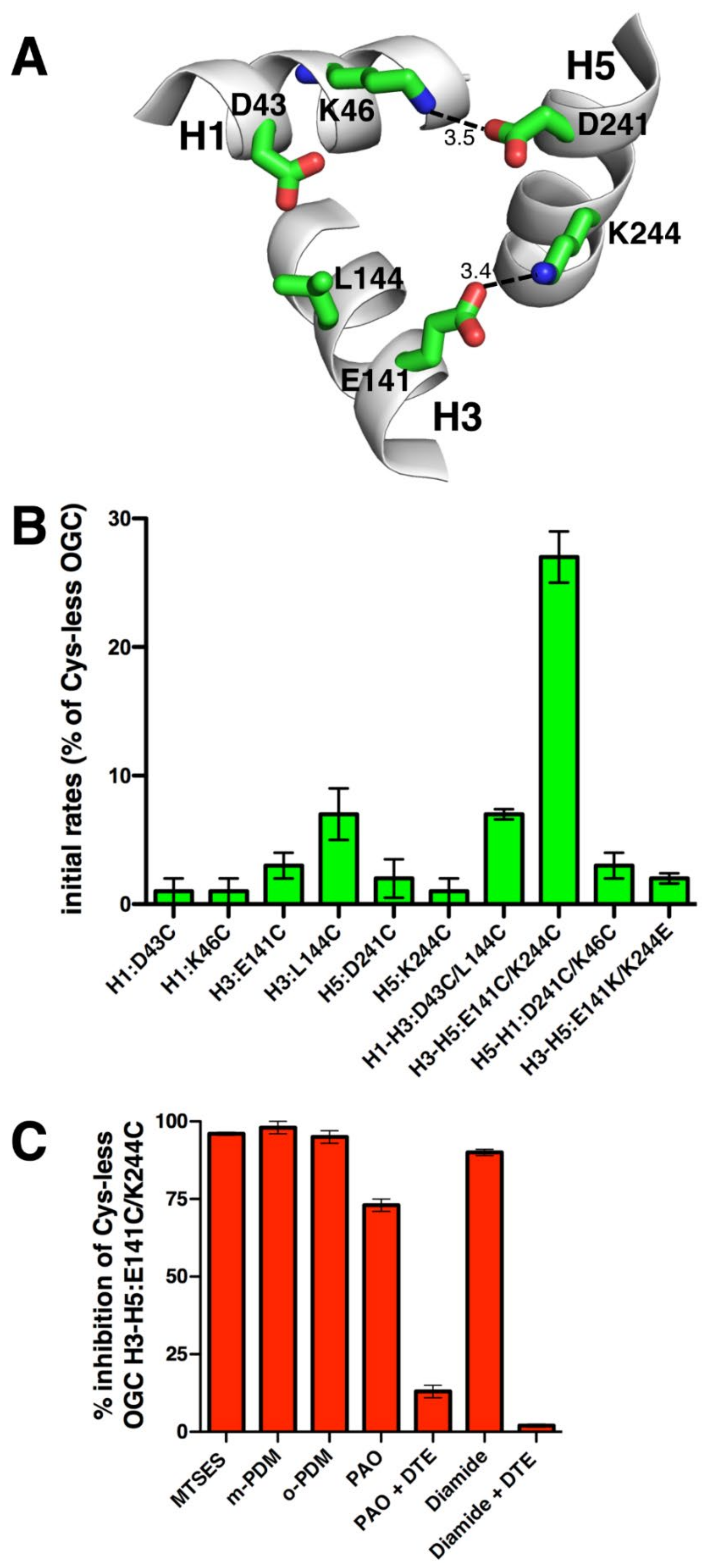 Ijms 23 05060 g002 Ijms 23 05060 g002
