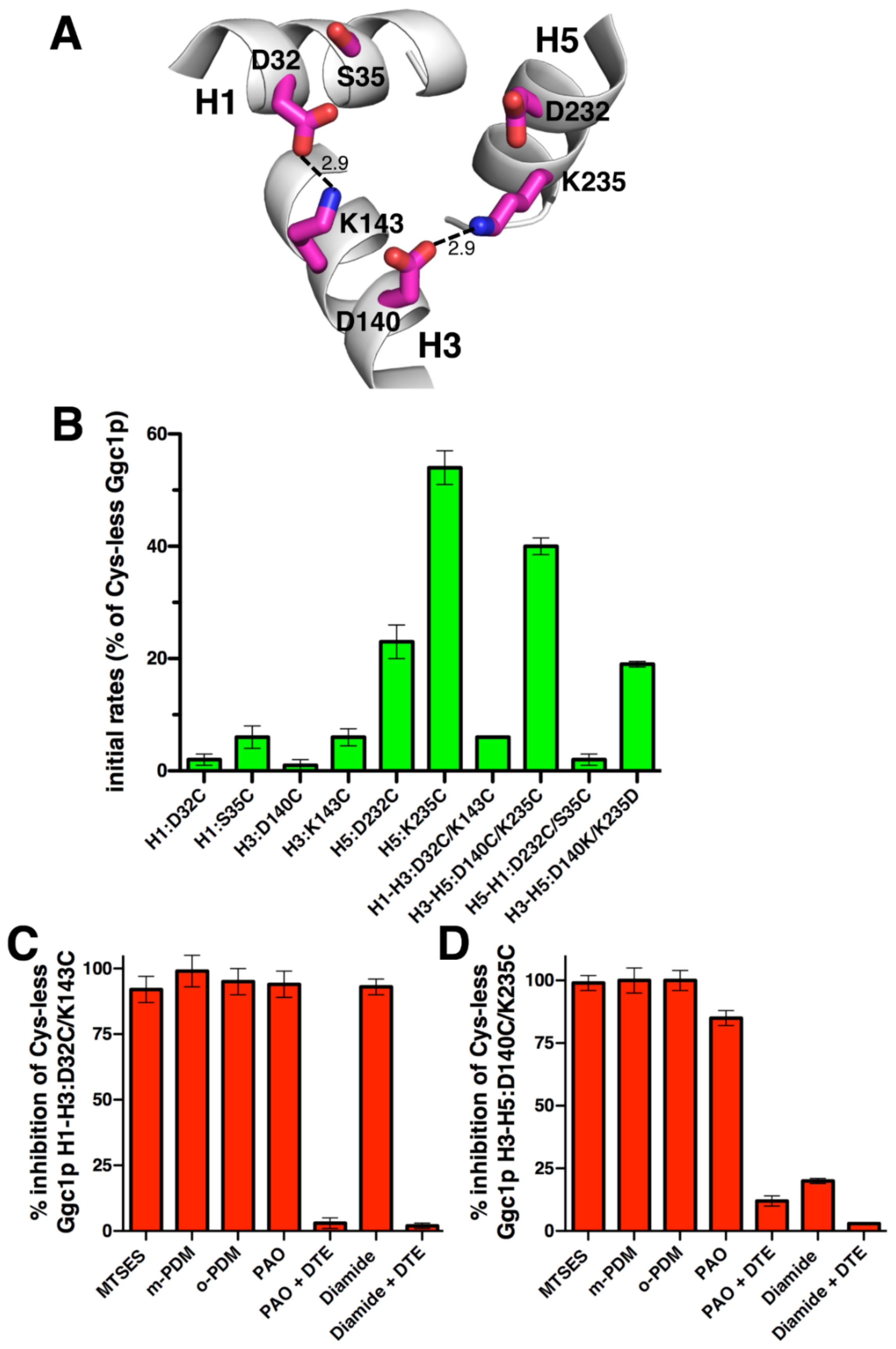 Ijms 23 05060 g003 Ijms 23 05060 g003