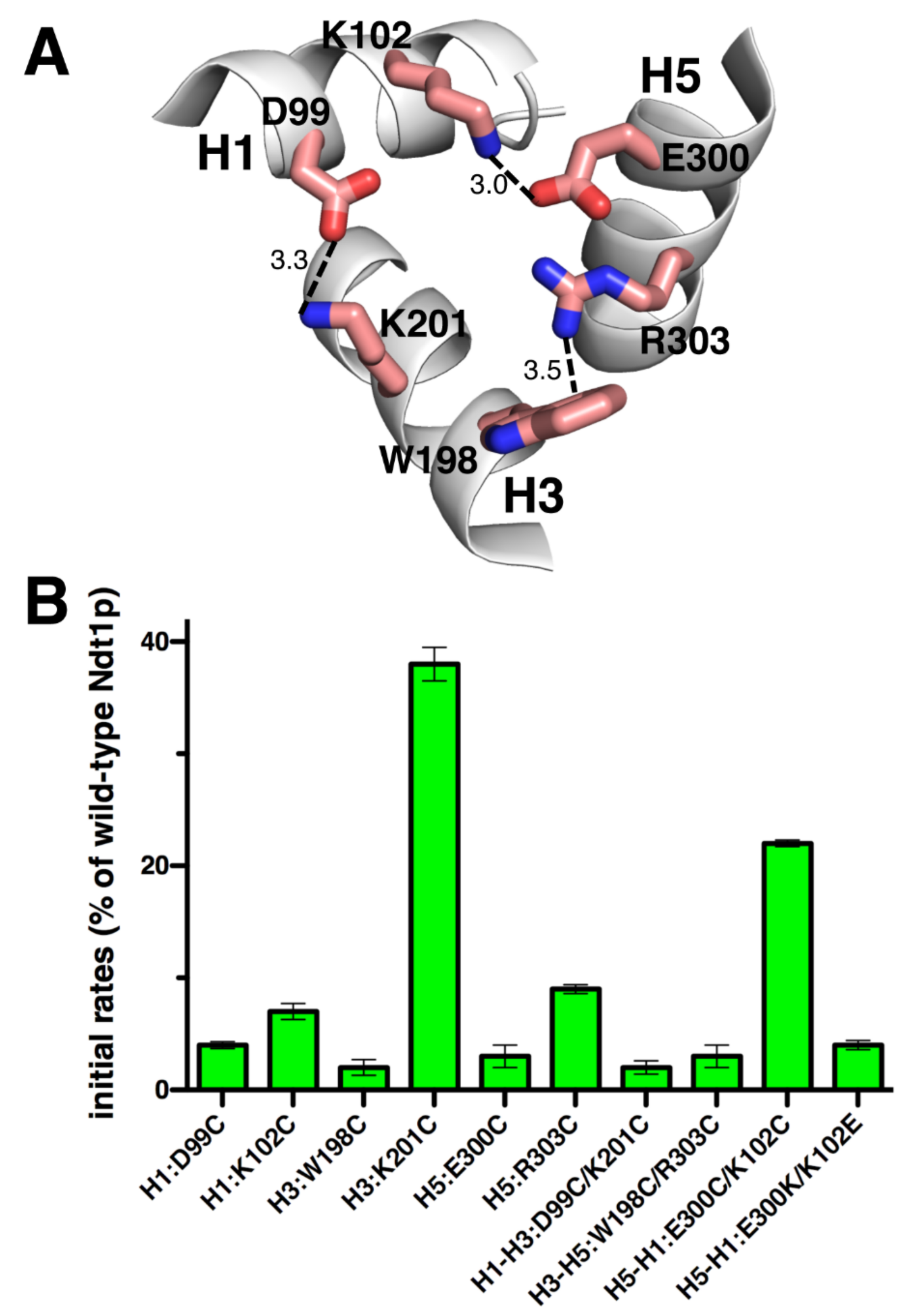 Ijms 23 05060 g004 Ijms 23 05060 g004