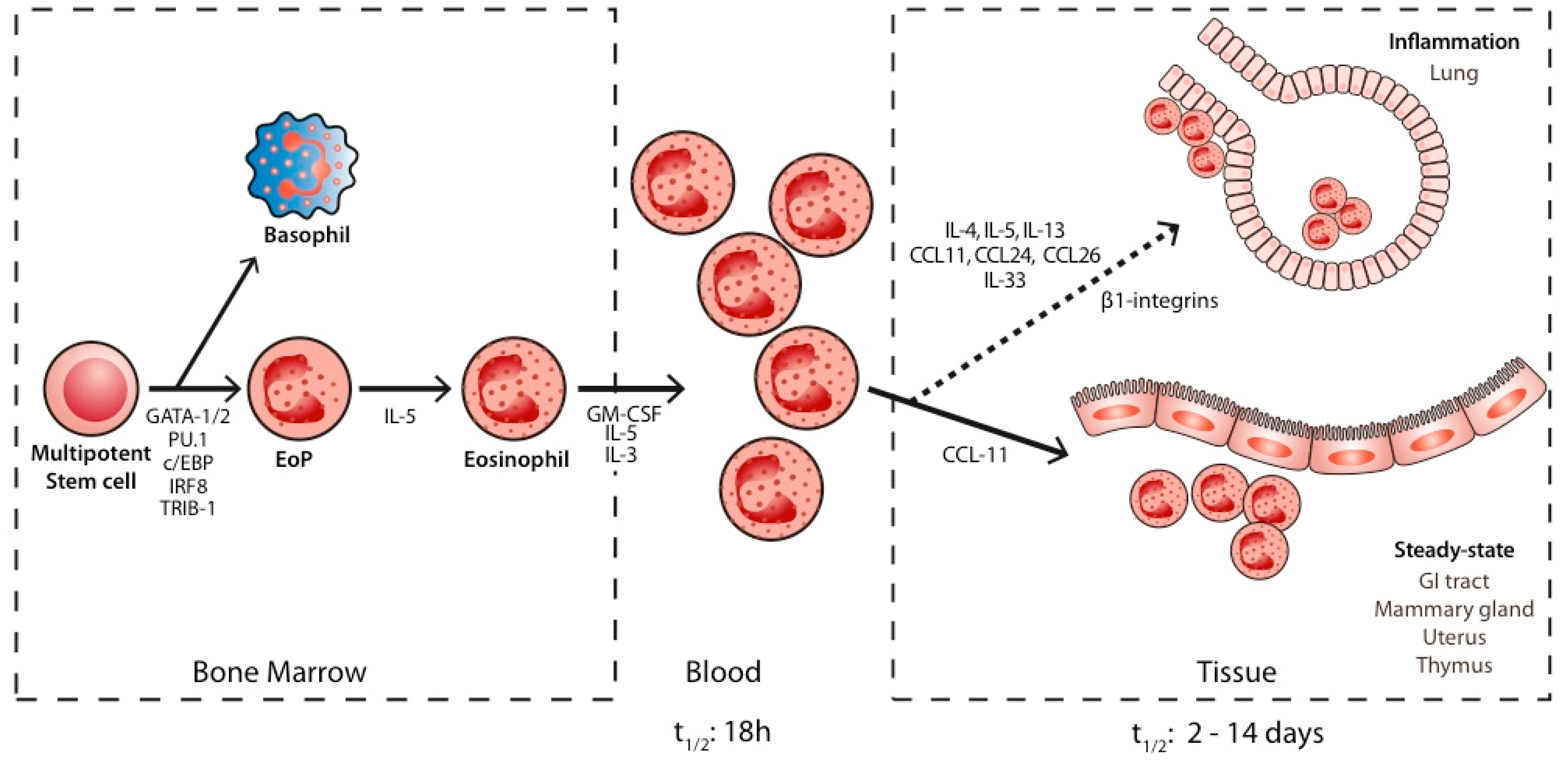 Ijms 23 05066 g001 550