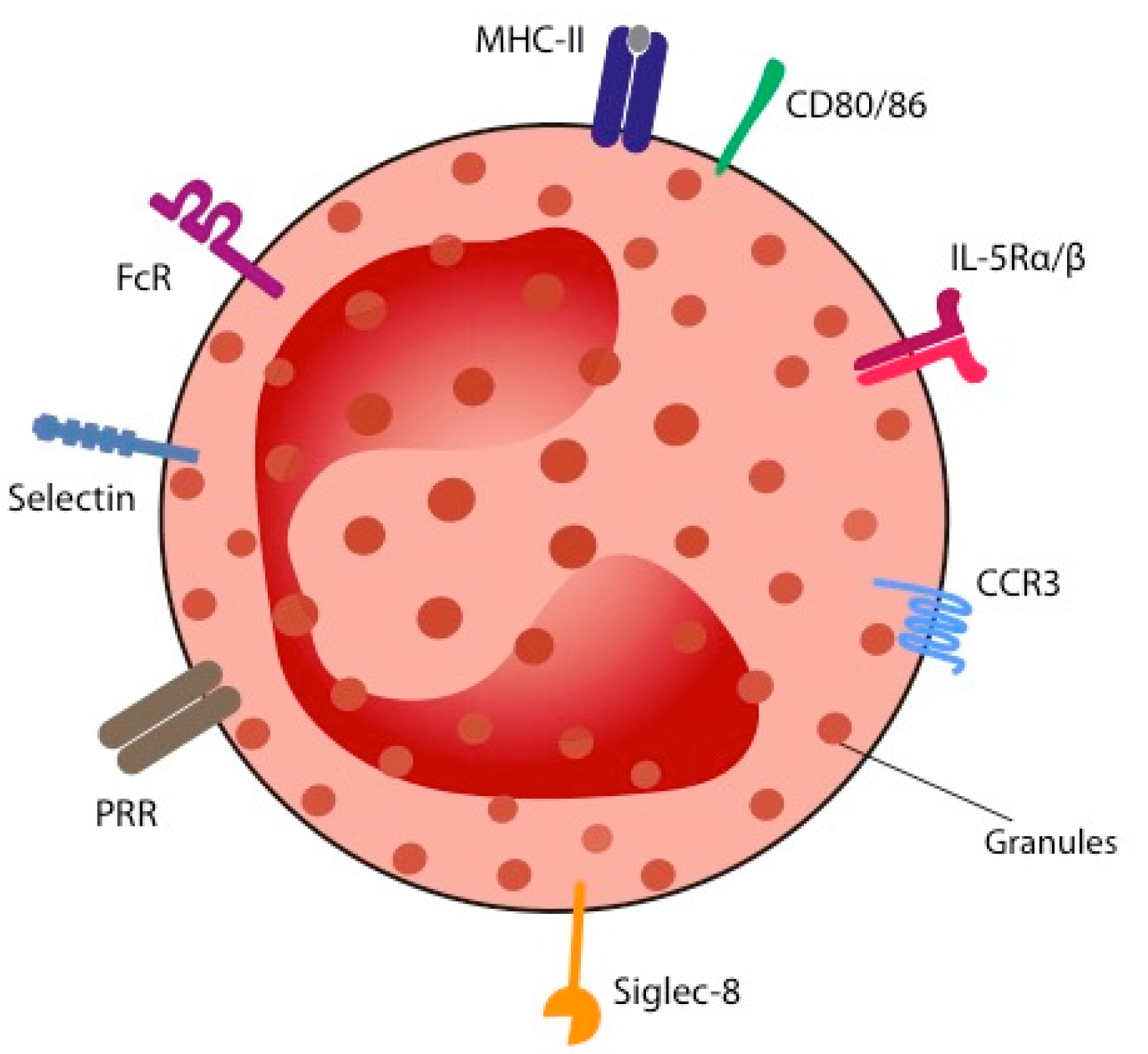 Ijms 23 05066 g002 550