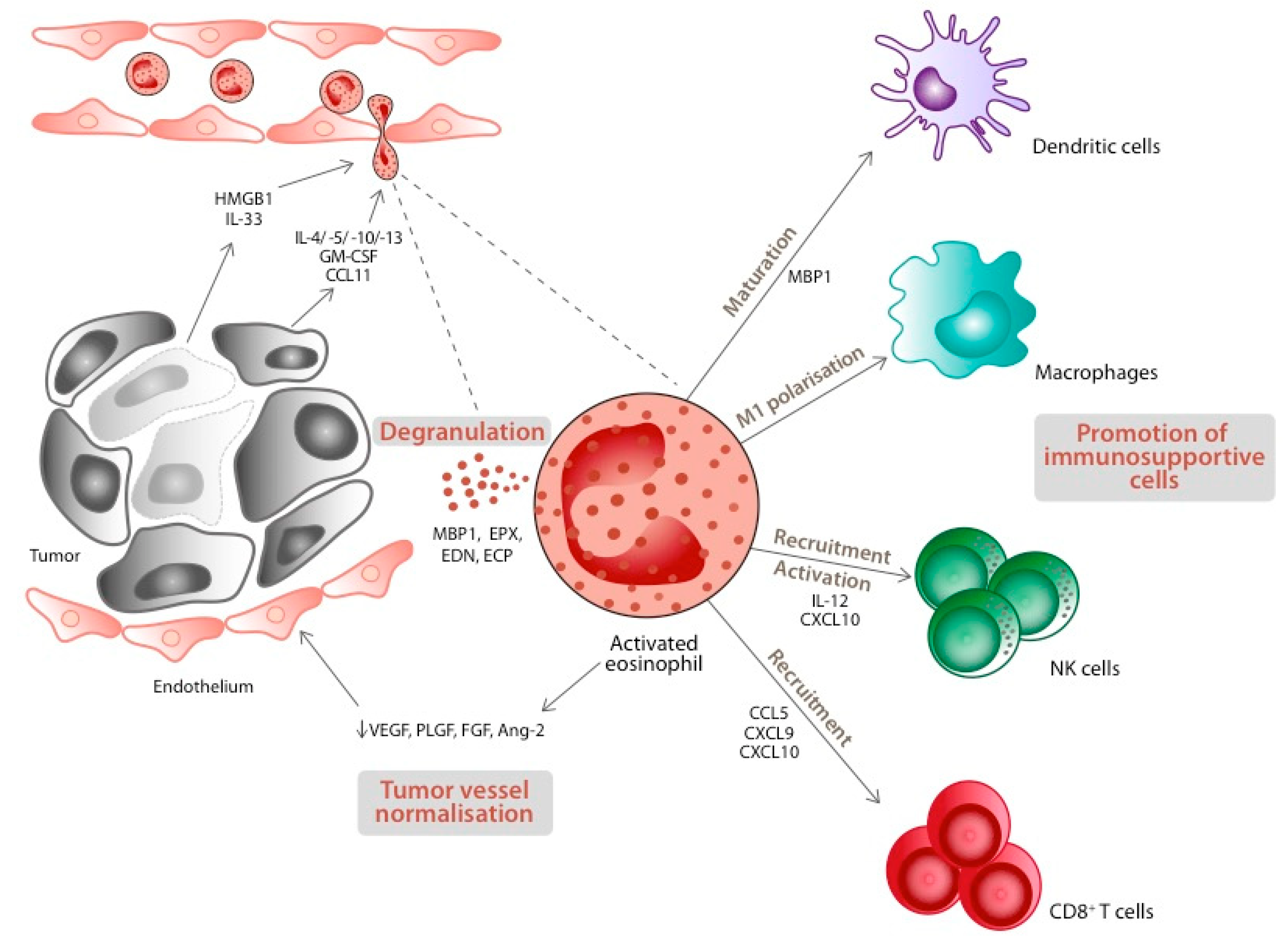 Ijms 23 05066 g003 550