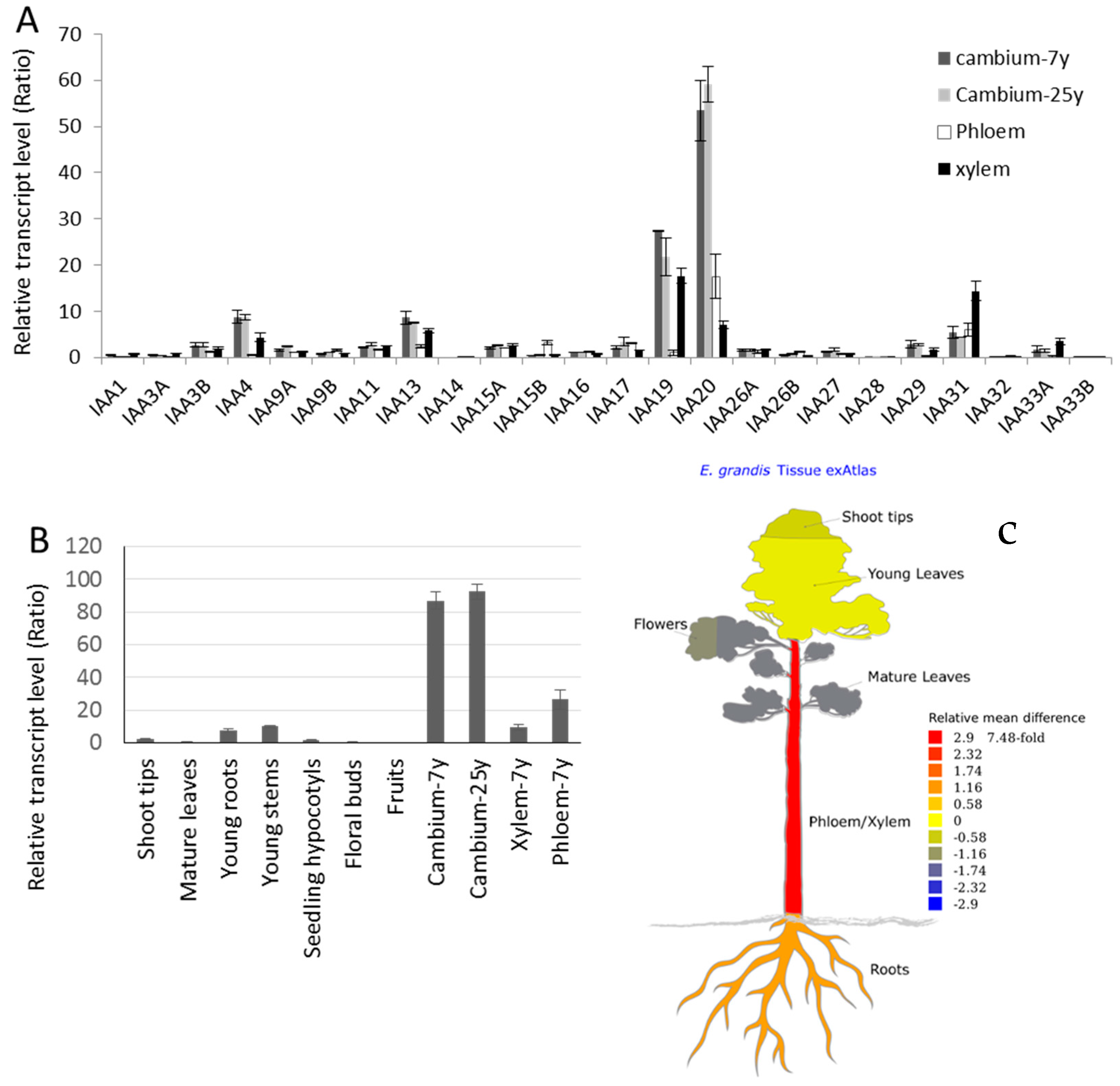 Ijms 23 05068 g001 550