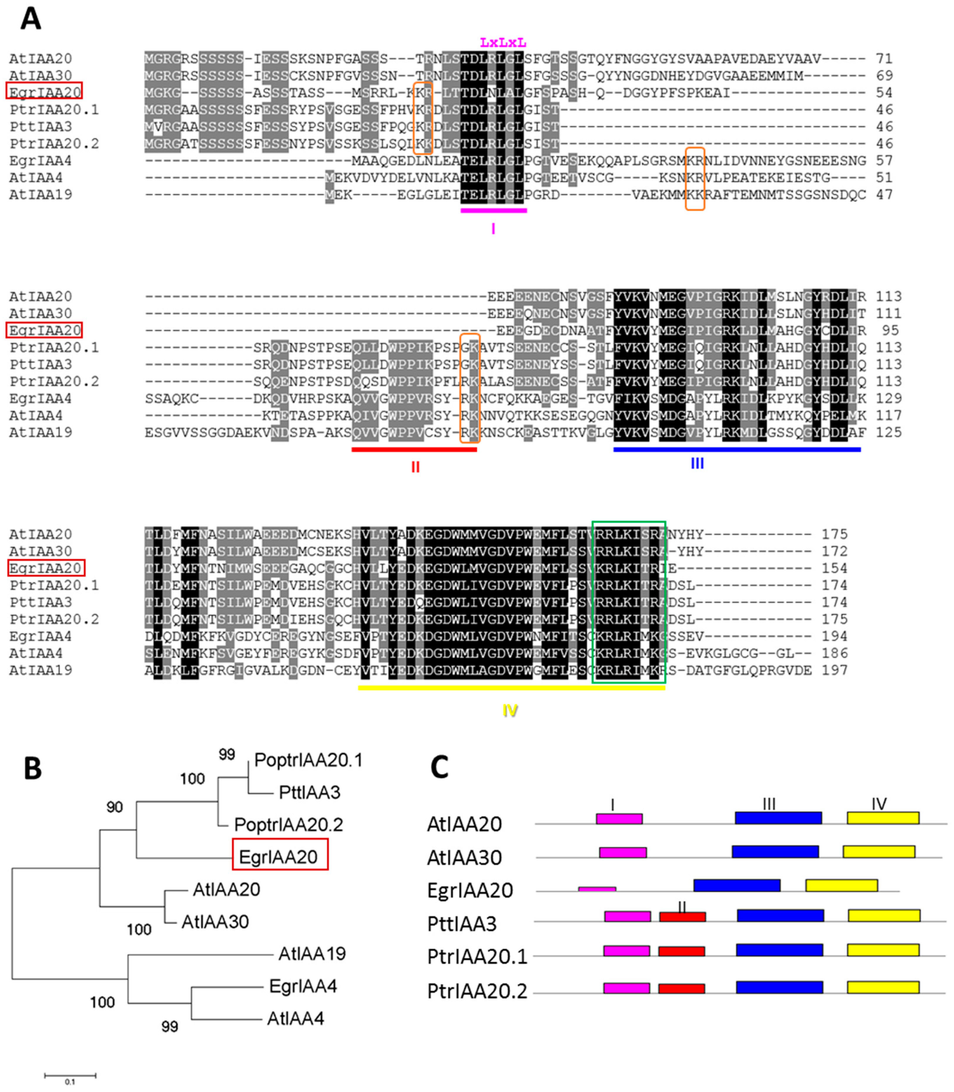 Ijms 23 05068 g002 550