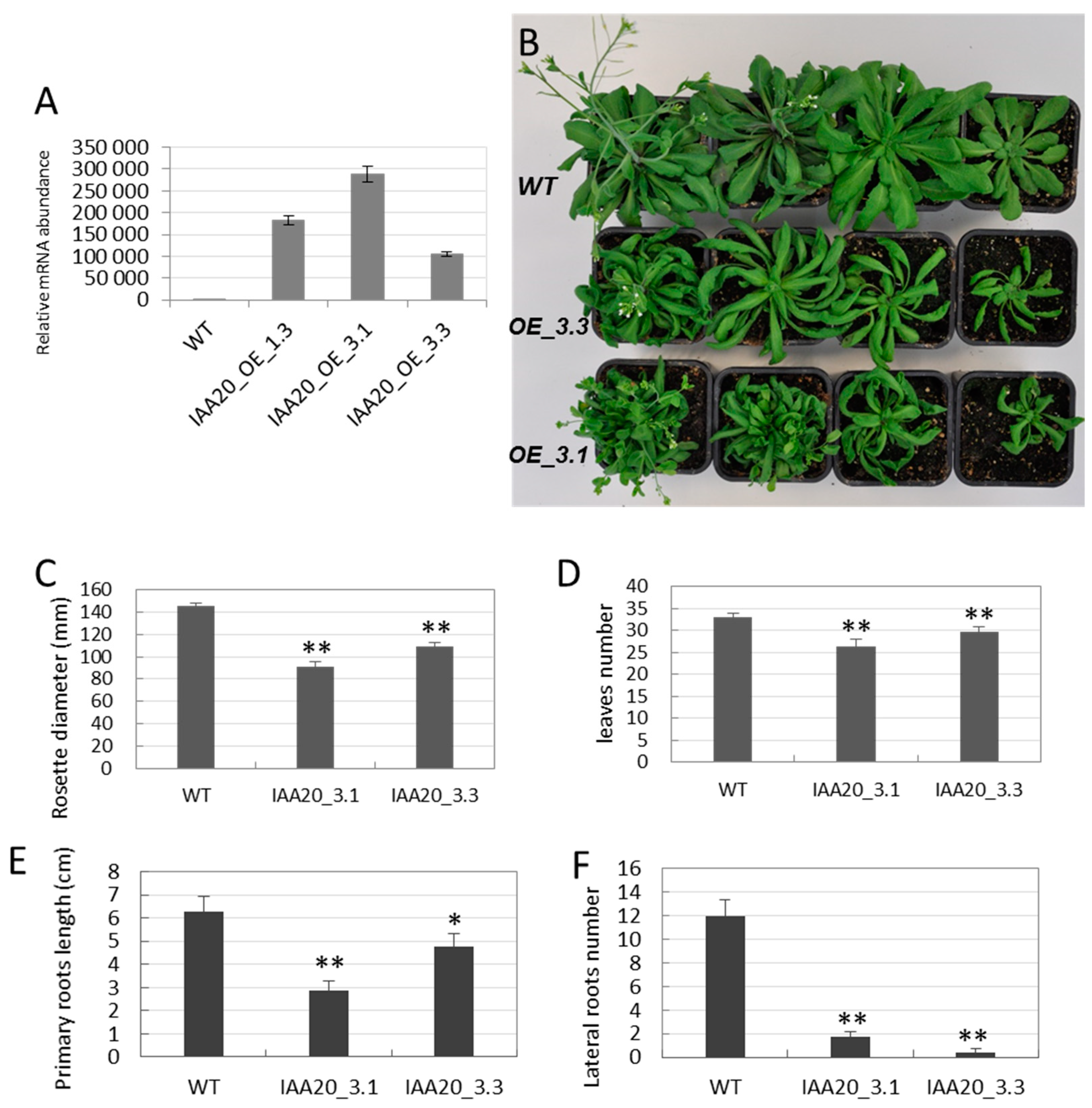 Ijms 23 05068 g004 550
