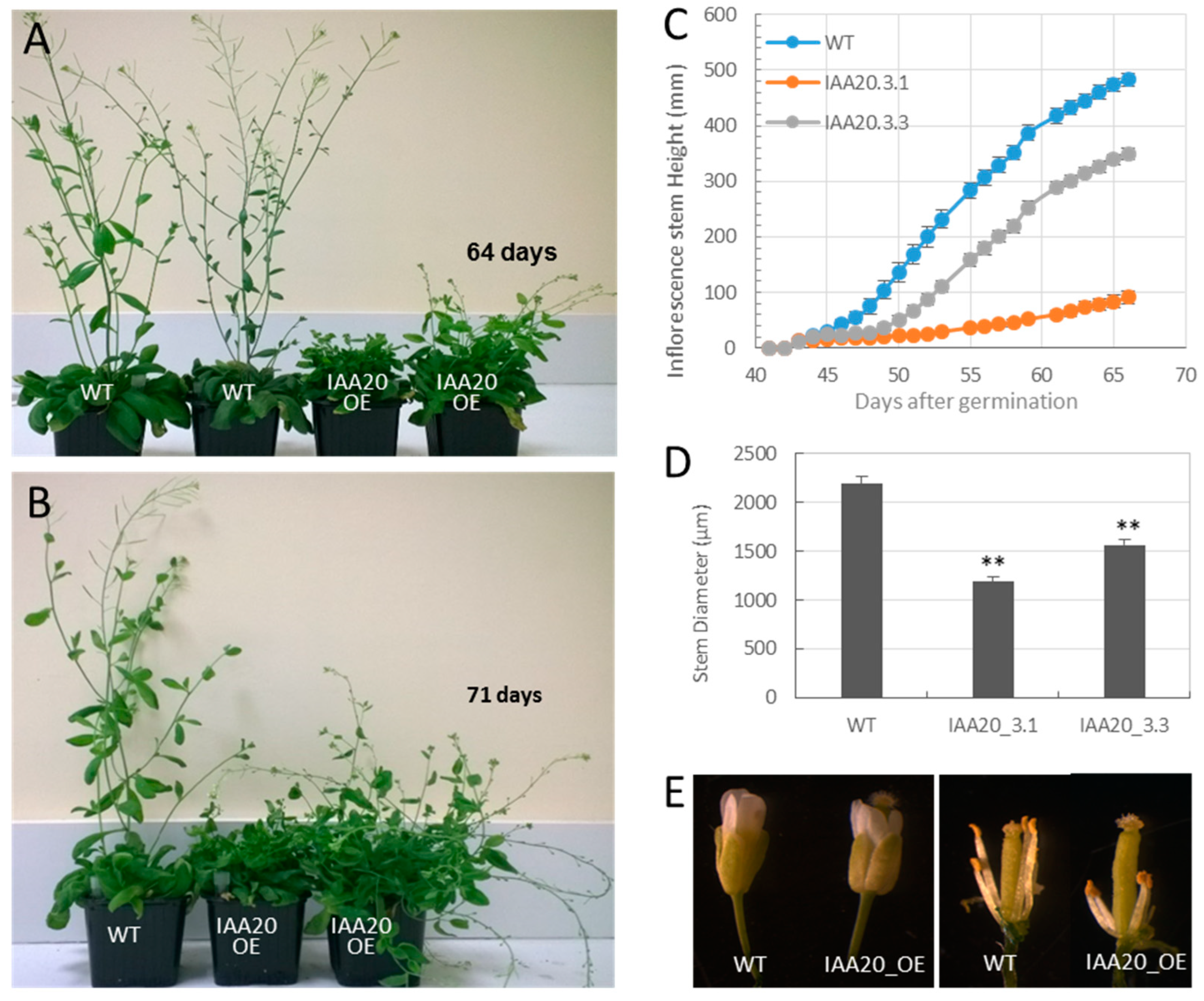 Ijms 23 05068 g005 550