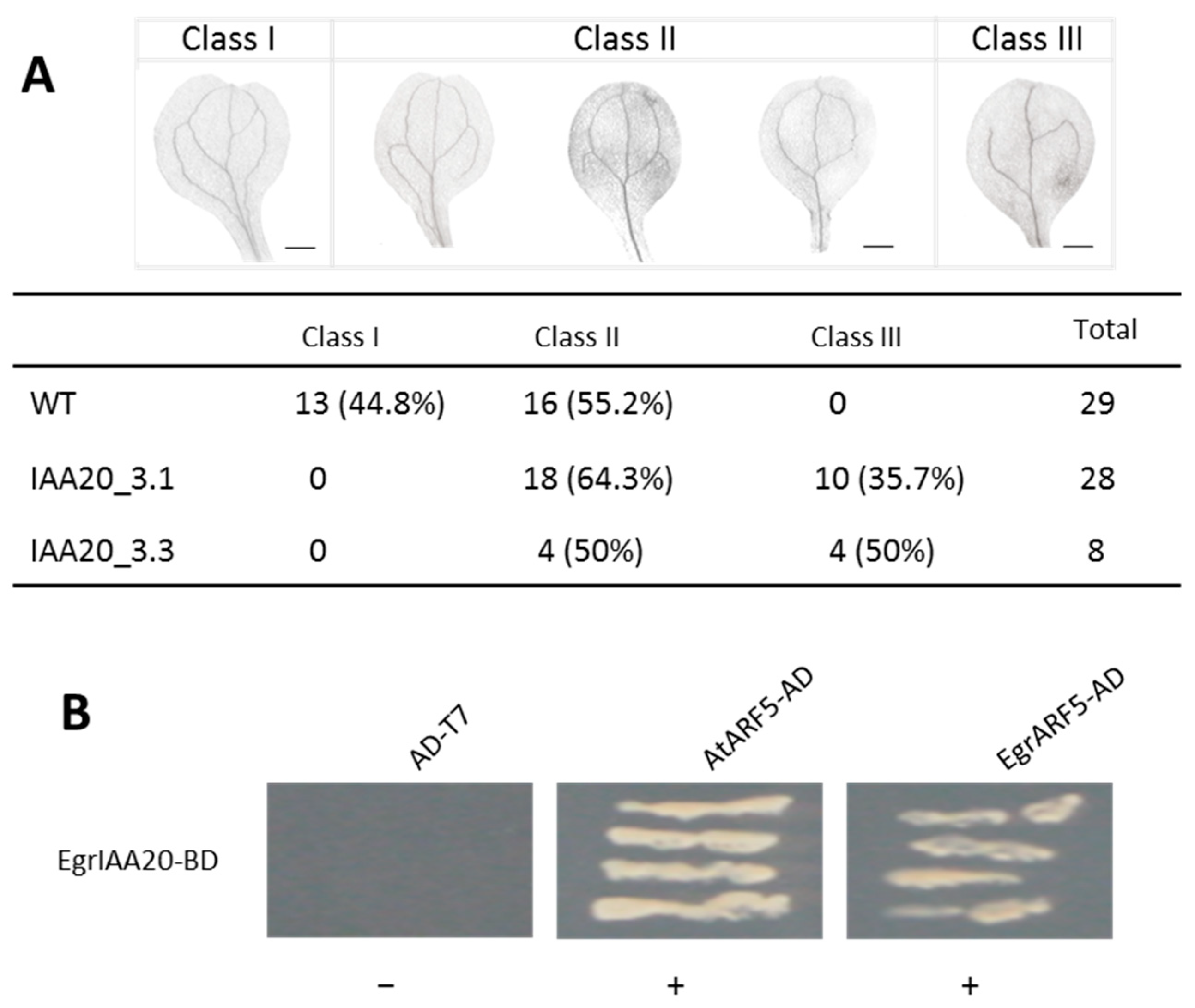 Ijms 23 05068 g006 550
