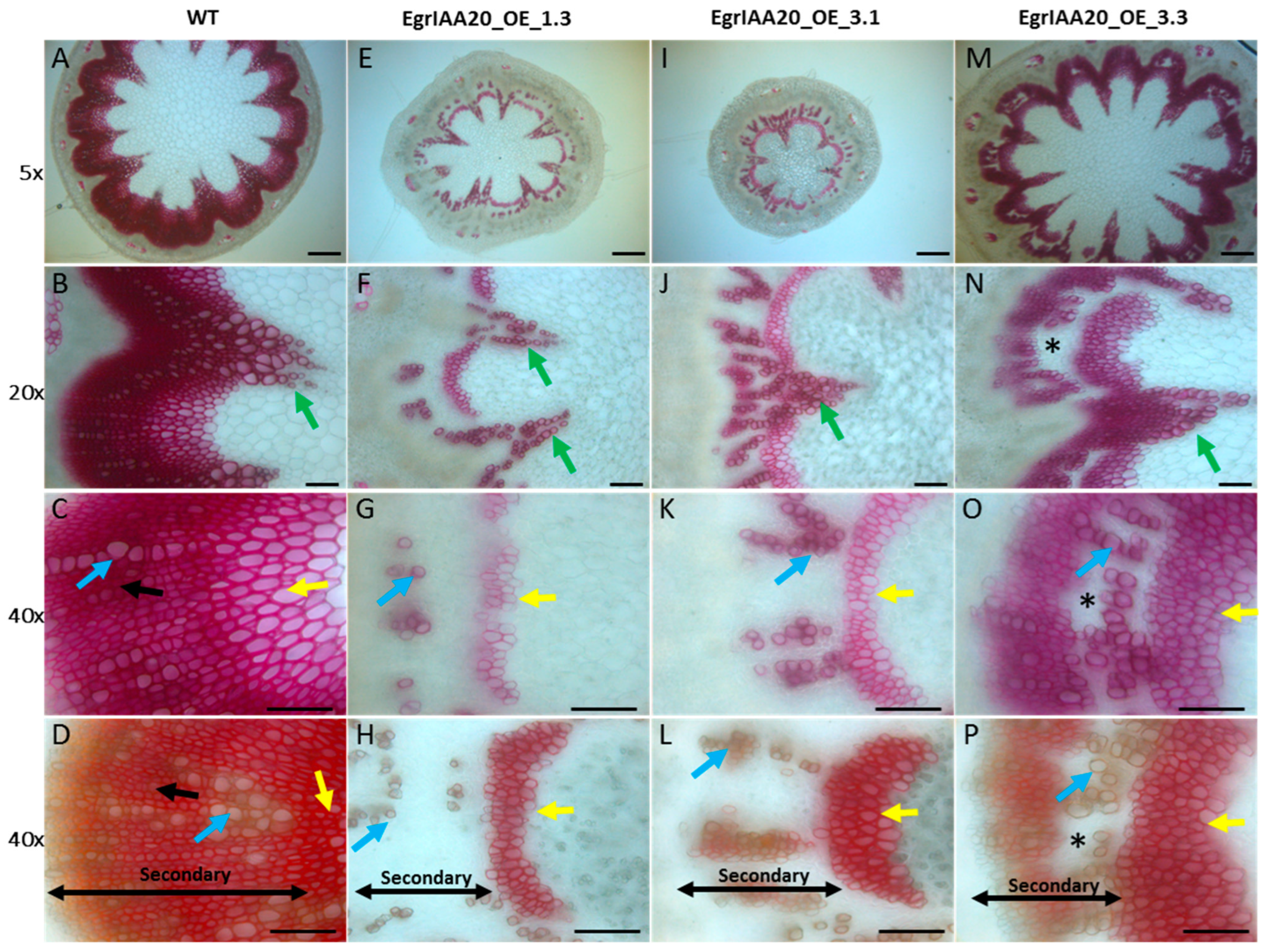 Ijms 23 05068 g007 550