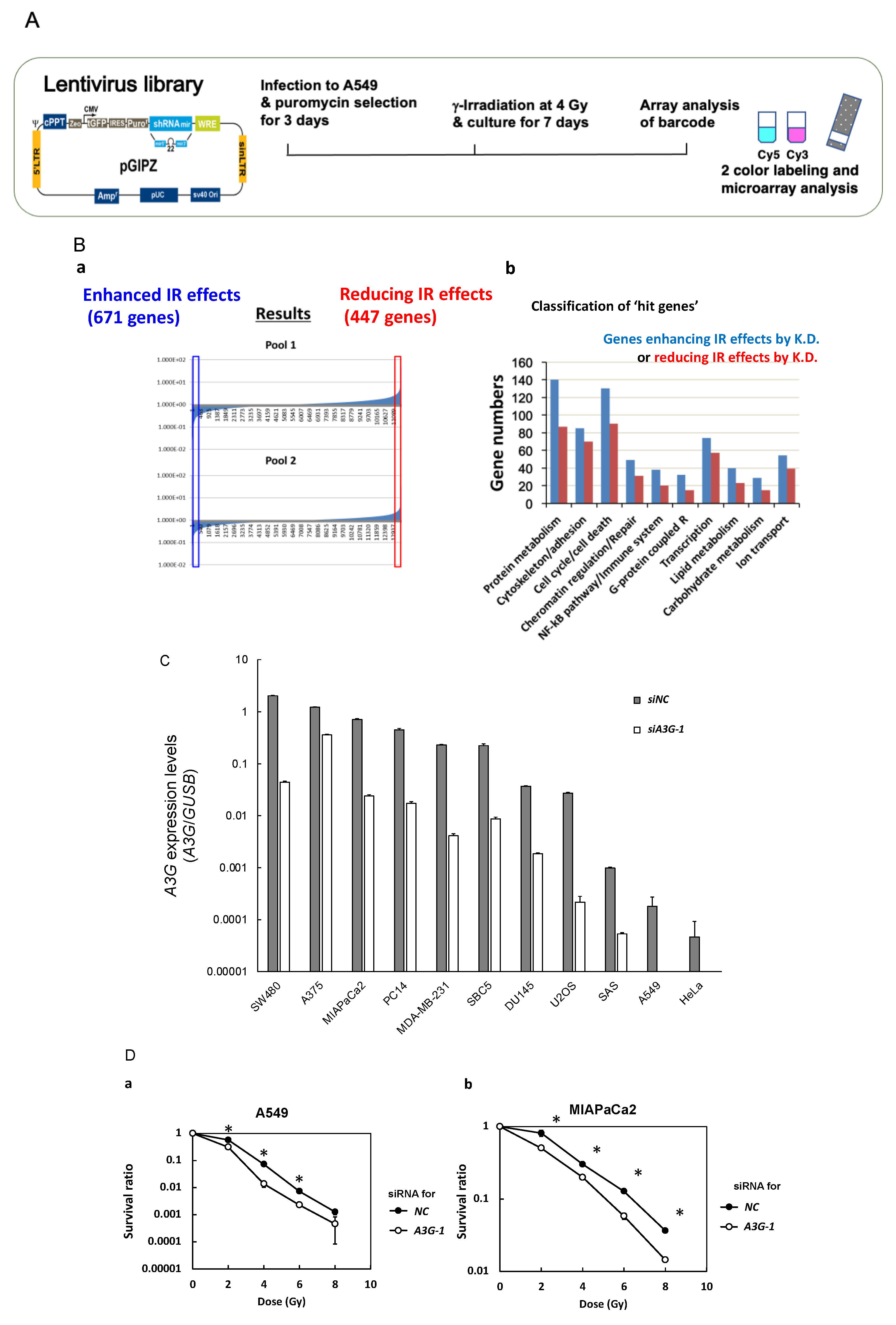 Ijms 23 05069 g001a 550