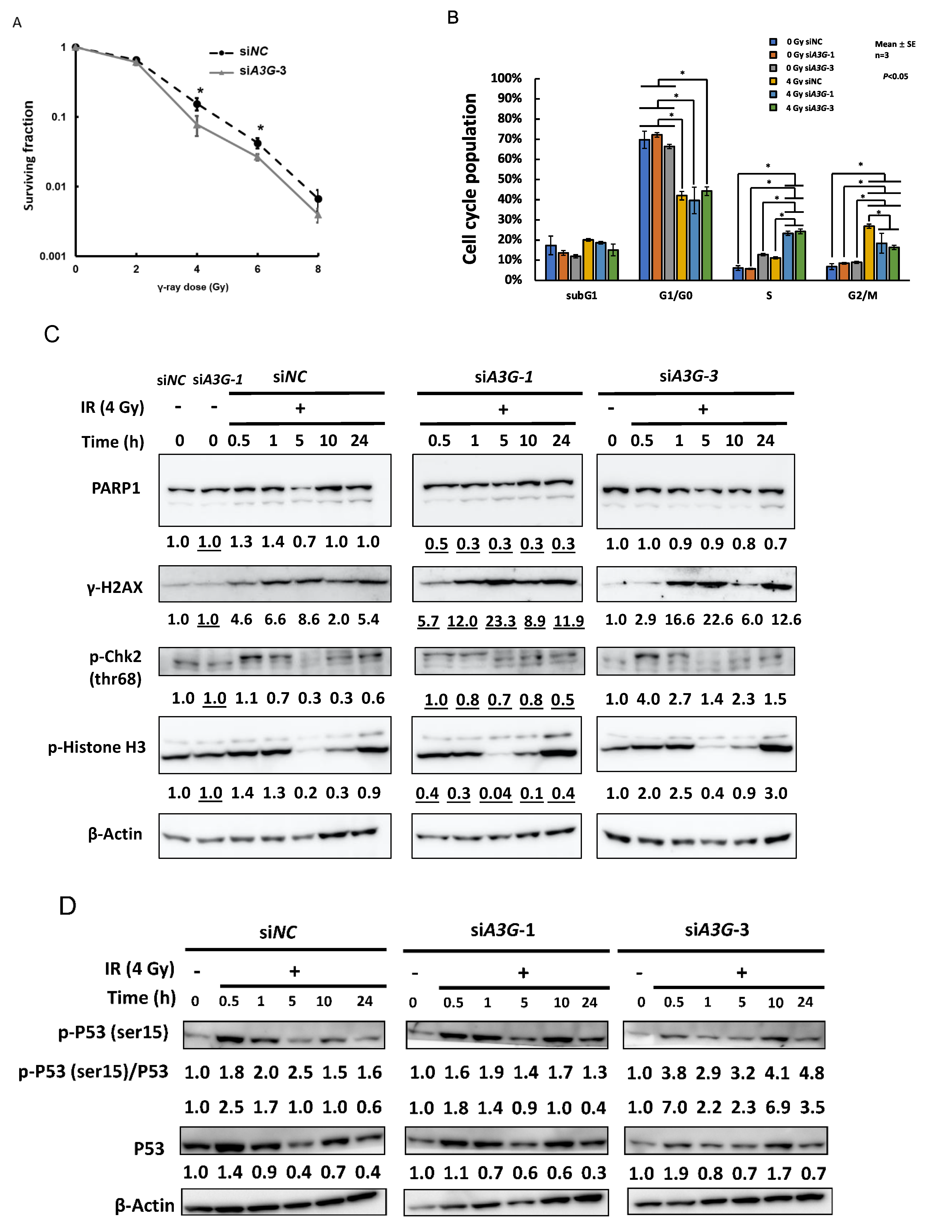 Ijms 23 05069 g002a 550