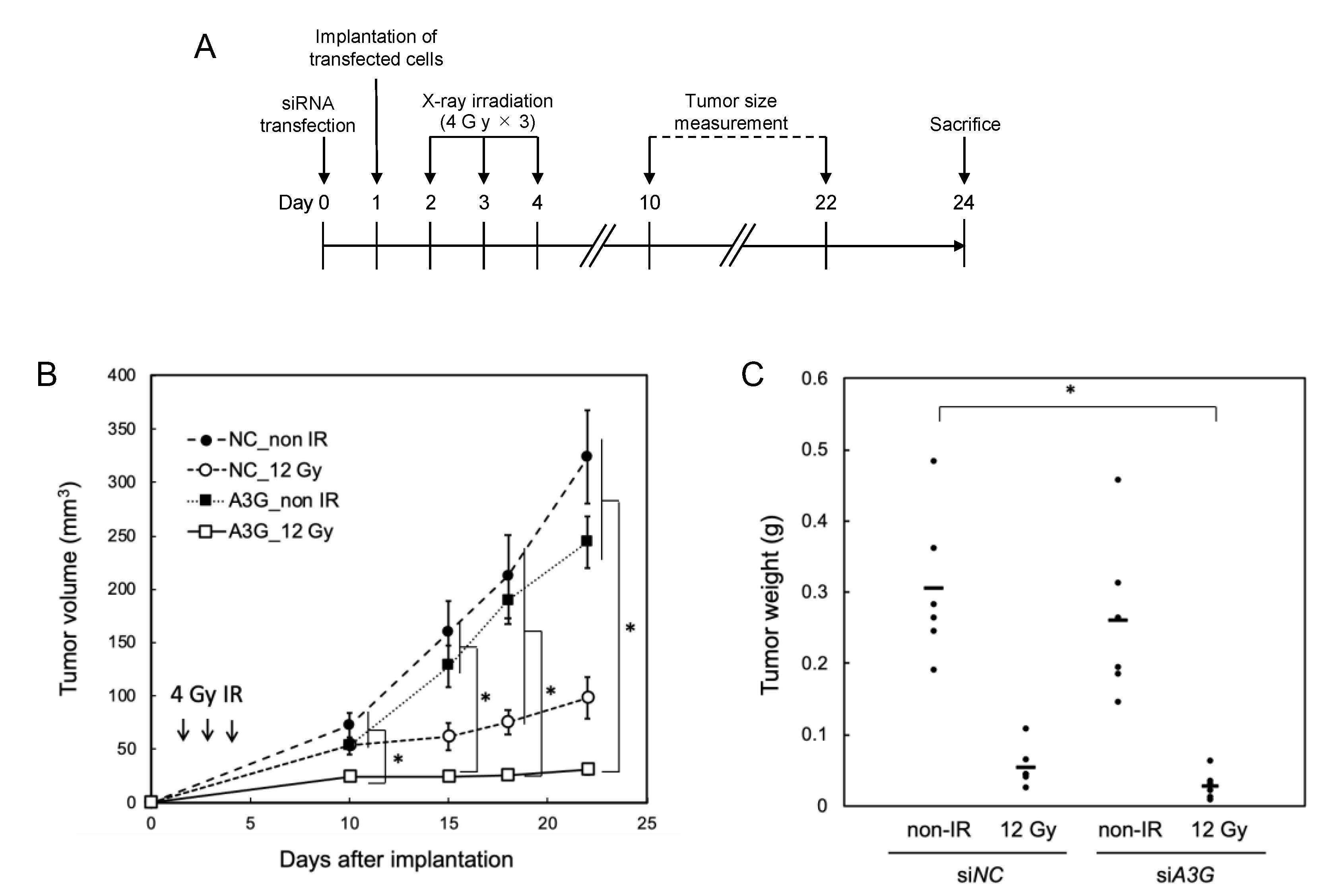 Ijms 23 05069 g004 550
