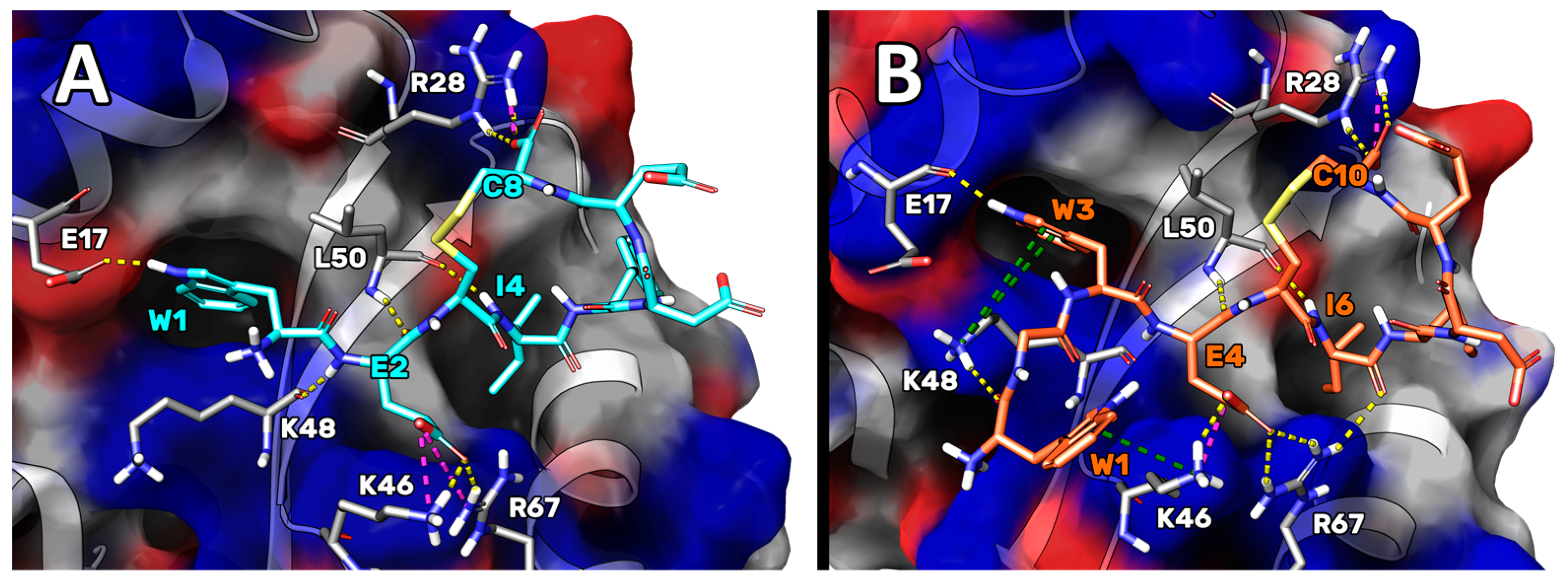 Ijms 23 05070 g003 550