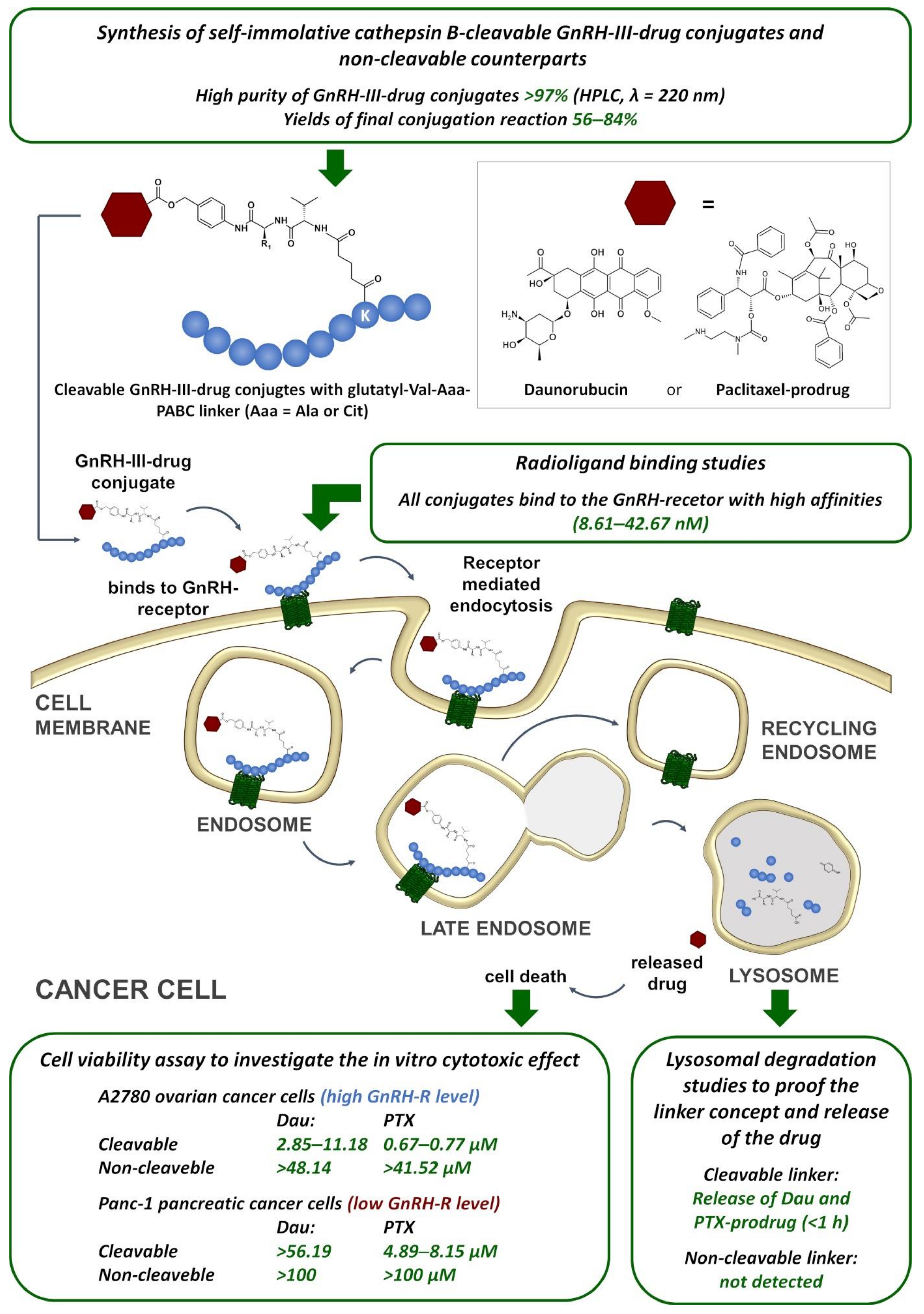 Ijms 23 05071 sch004